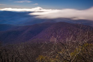 Blood Mountain via Byron Reece Trailhead