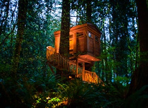 The Adventure Roundup: Treehouses, Waterfalls, And Hot Springs