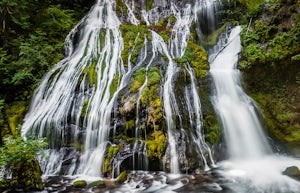 Hike to Panther Creek Falls