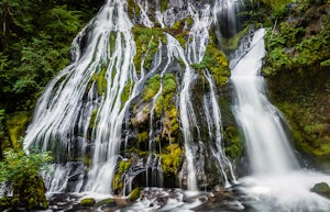 Panther Creek Falls