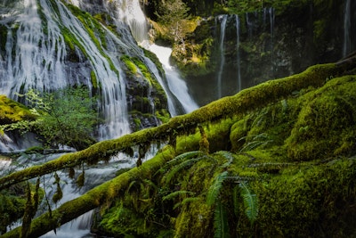 Hike to Panther Creek Falls, Panther Creek Falls Parking