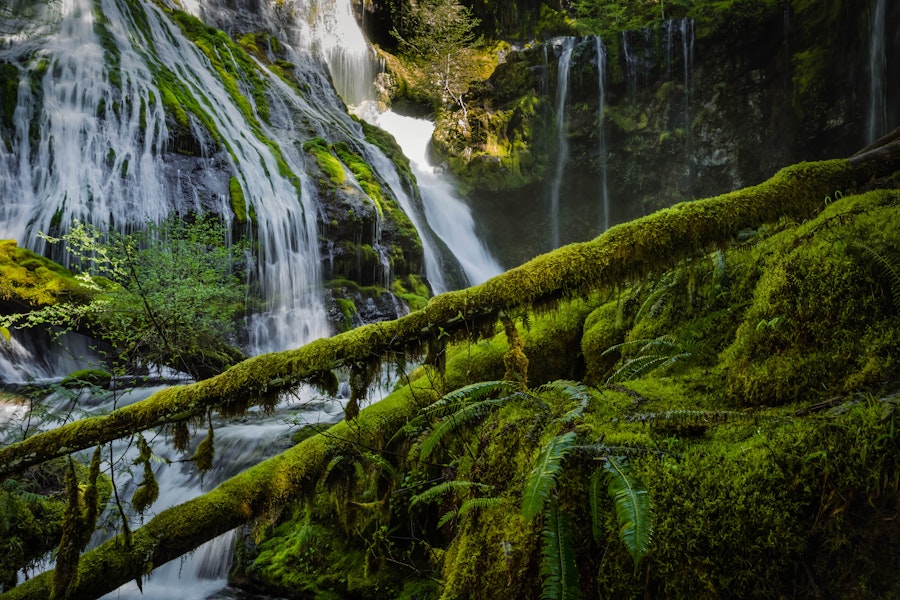 Hike to Panther Creek Falls, Washington