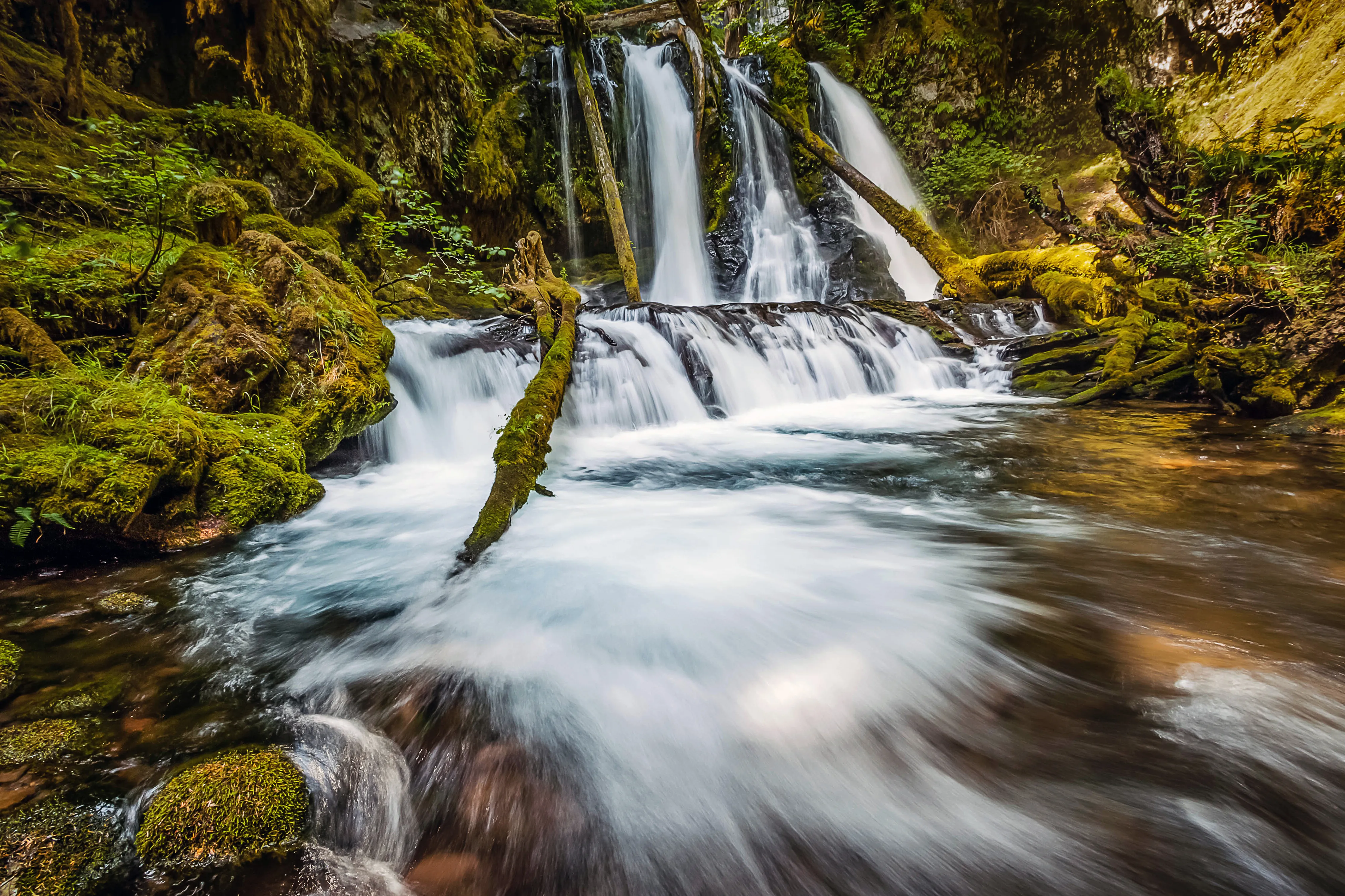 Panther Creek Falls