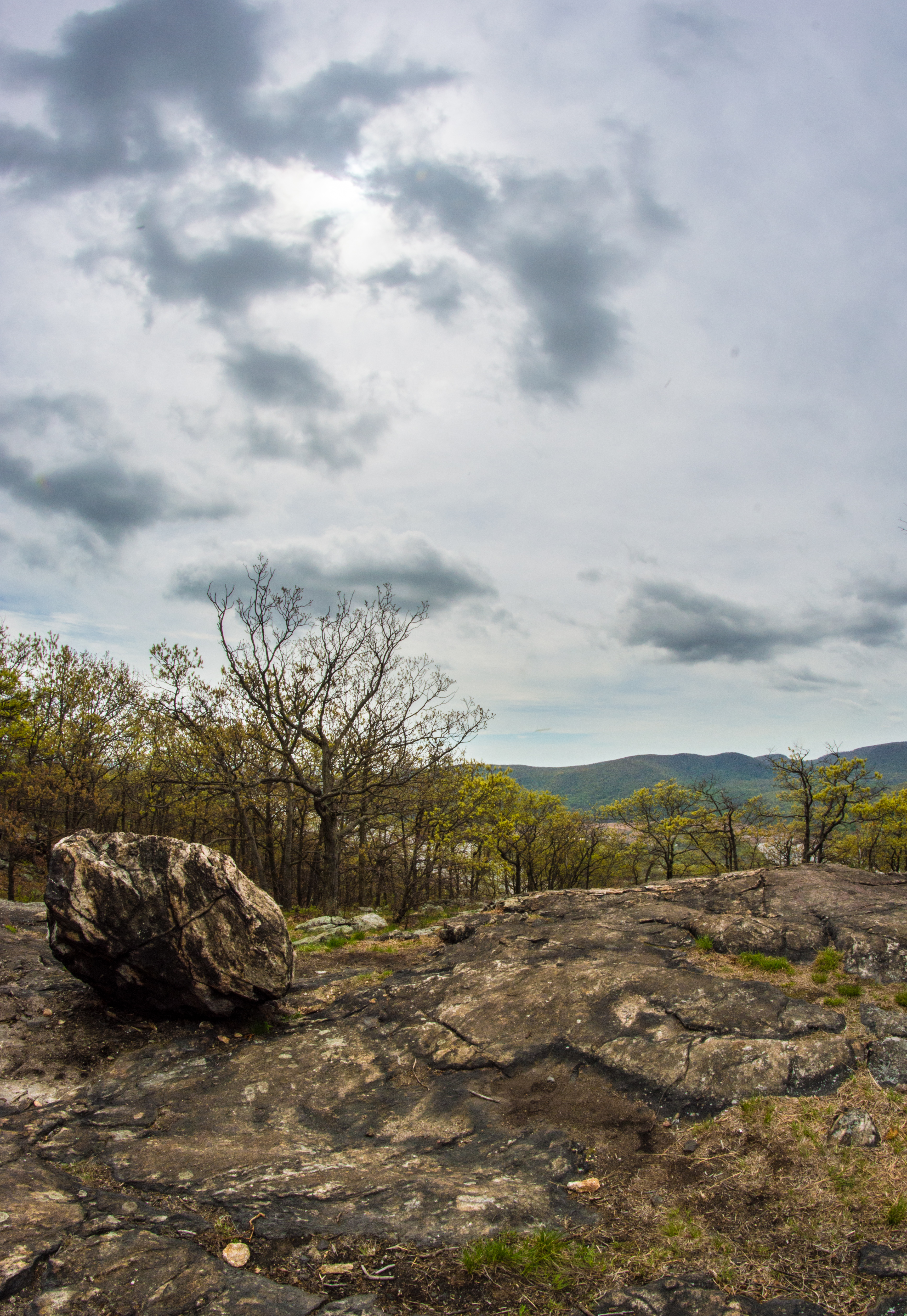 Camp Smith Trail 