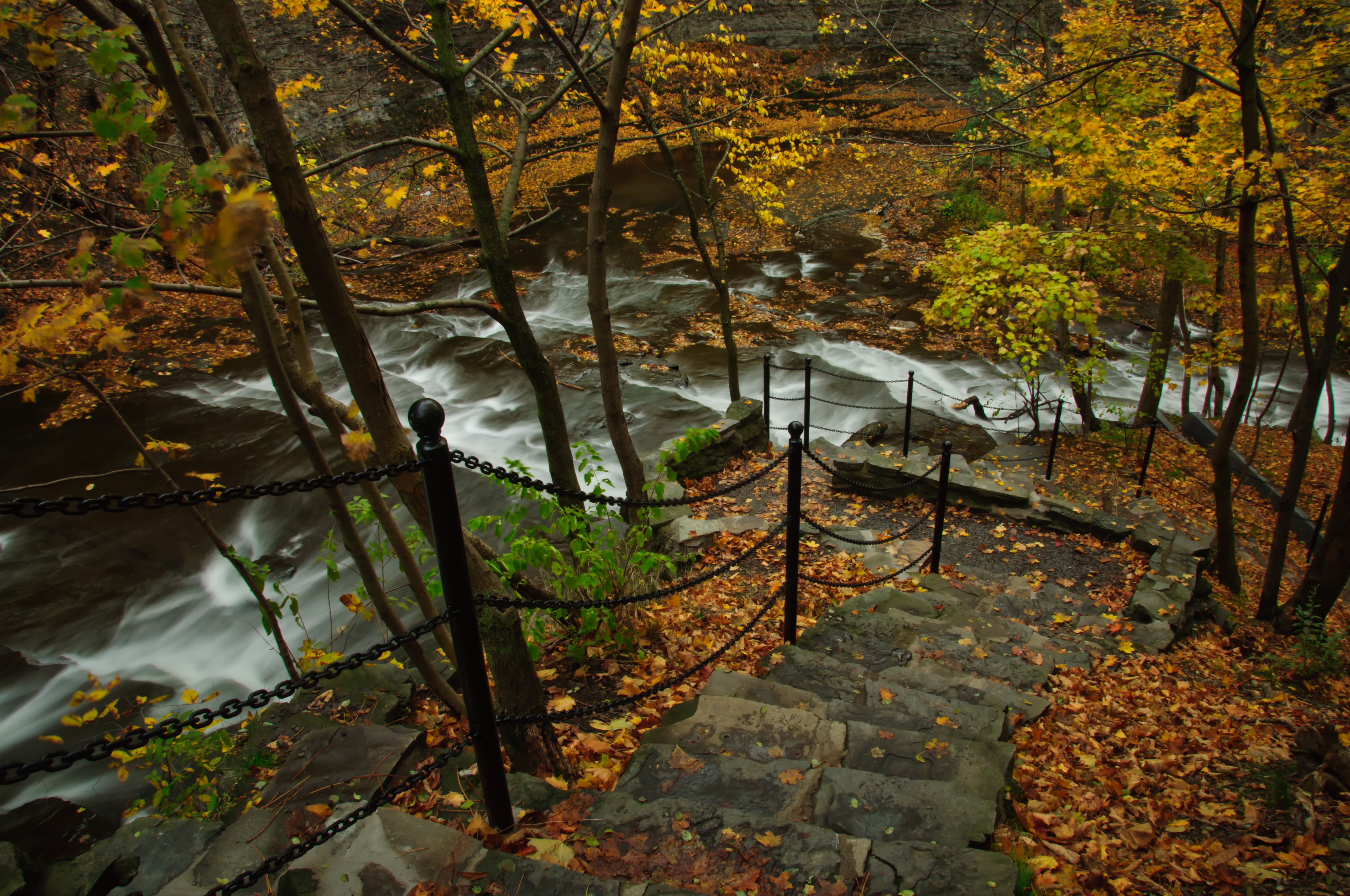 Hike the  Cascadilla Gorge Trail