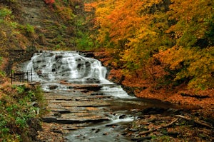 Hike the  Cascadilla Gorge Trail