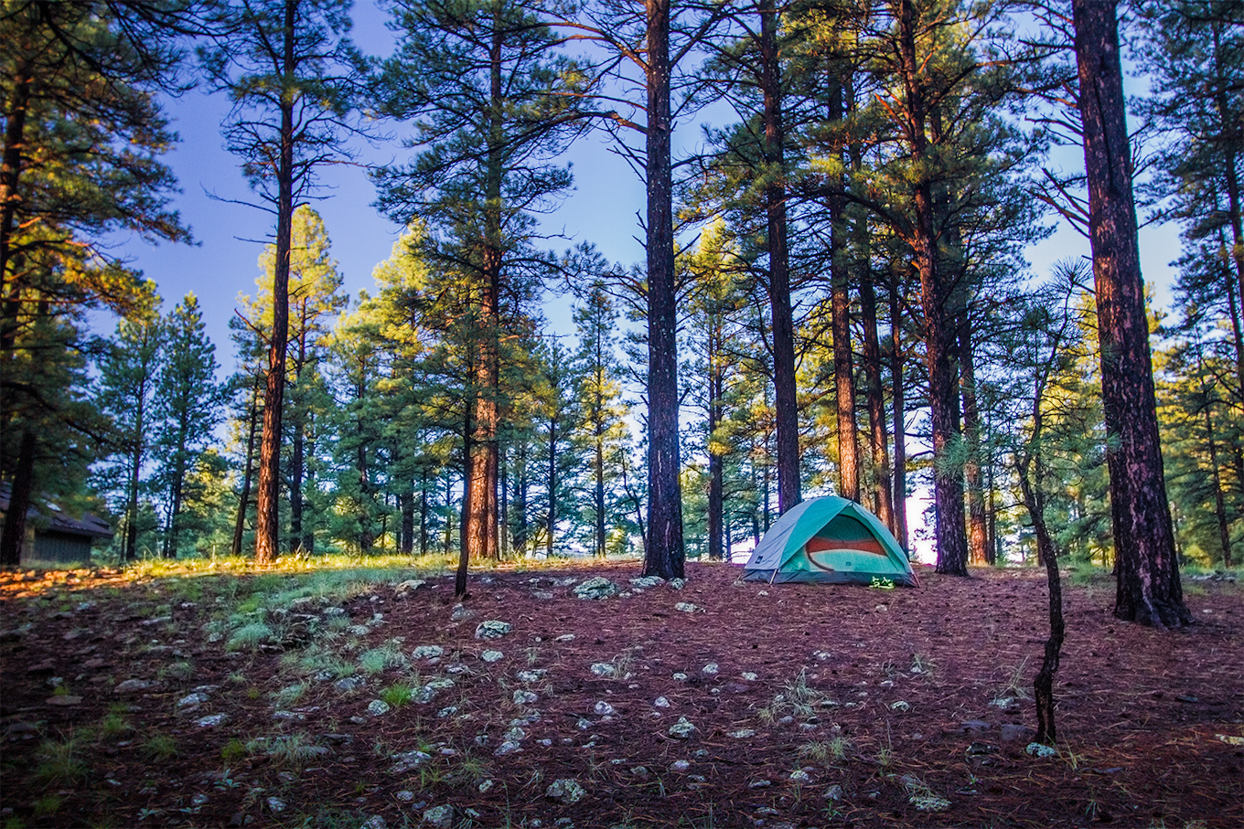 Camp At Pine Grove Campground Flagstaff Arizona