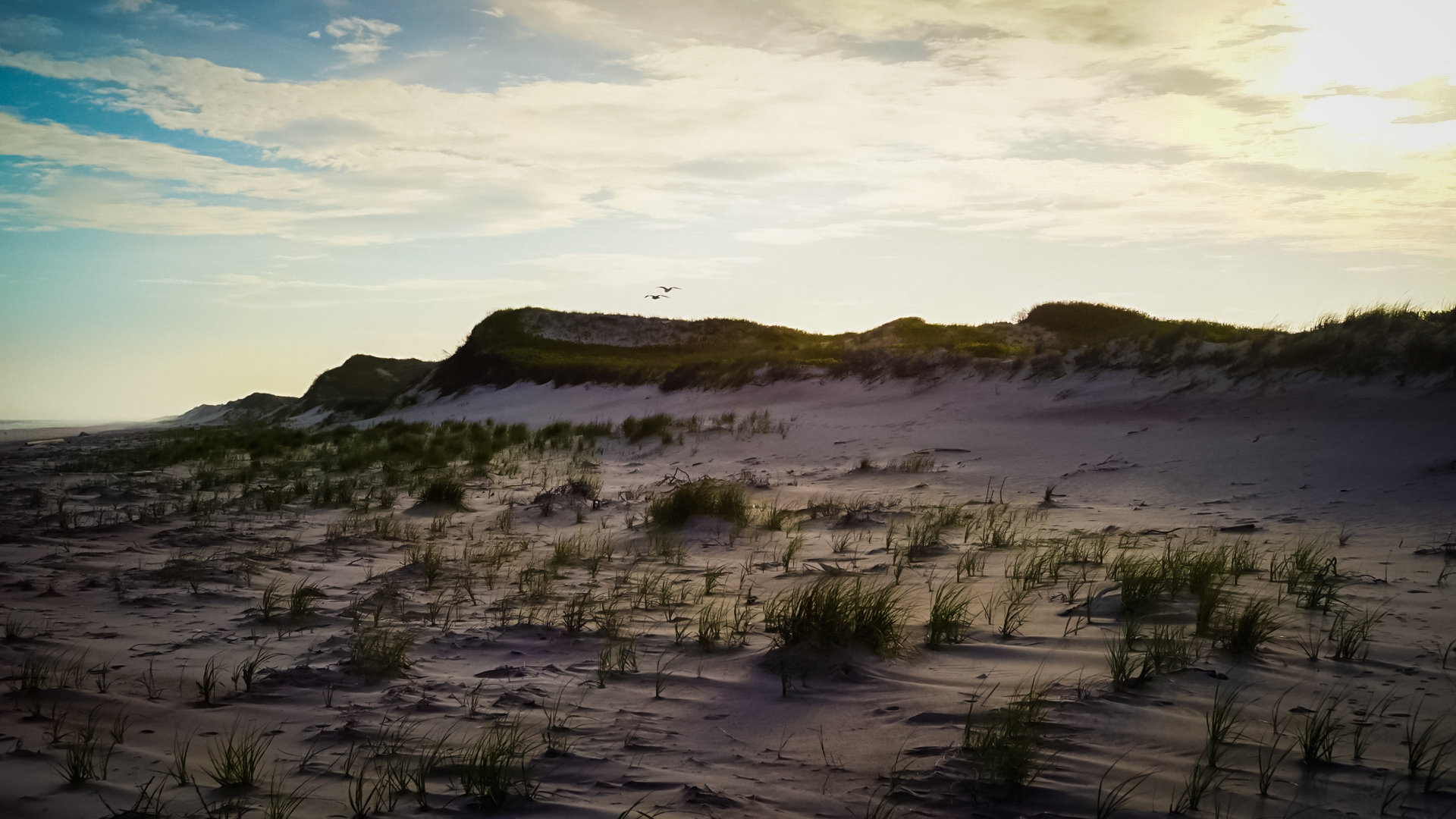 Fire Island's Watch Hill