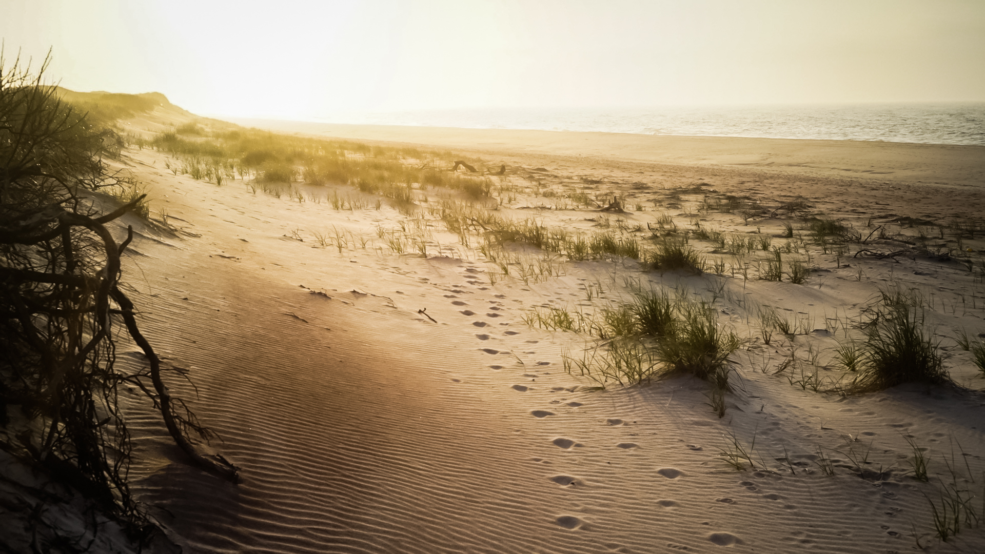Fire Island's Watch Hill