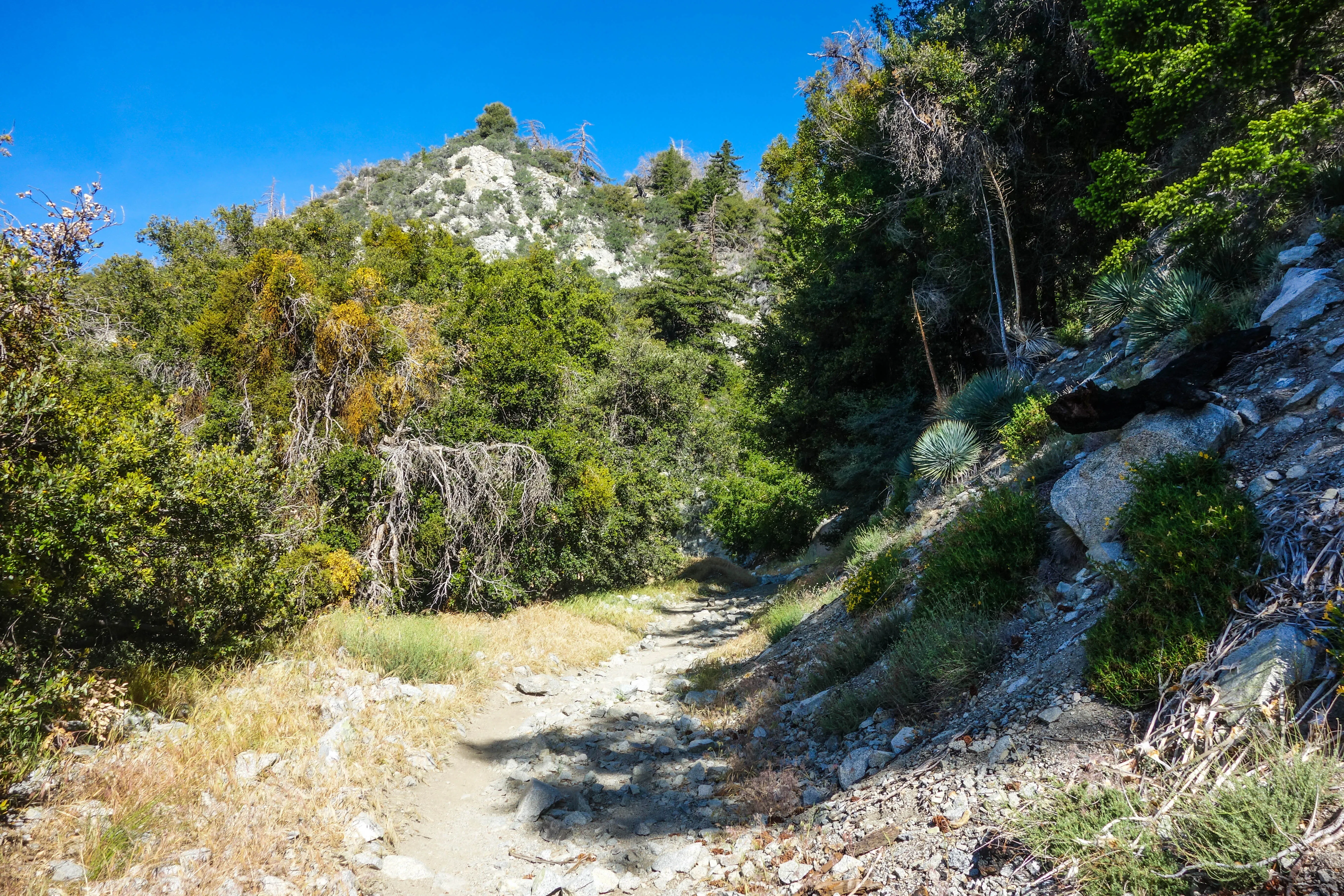 San Gabriel Peak