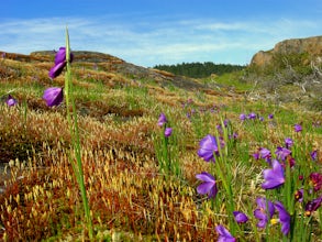 Hiking Mt. Finlayson