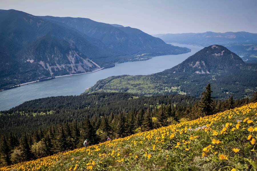 Dog Mountain Hike, Washington