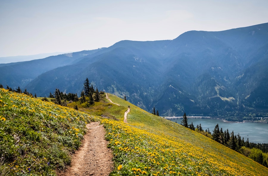Dog Mountain Hike, Washington