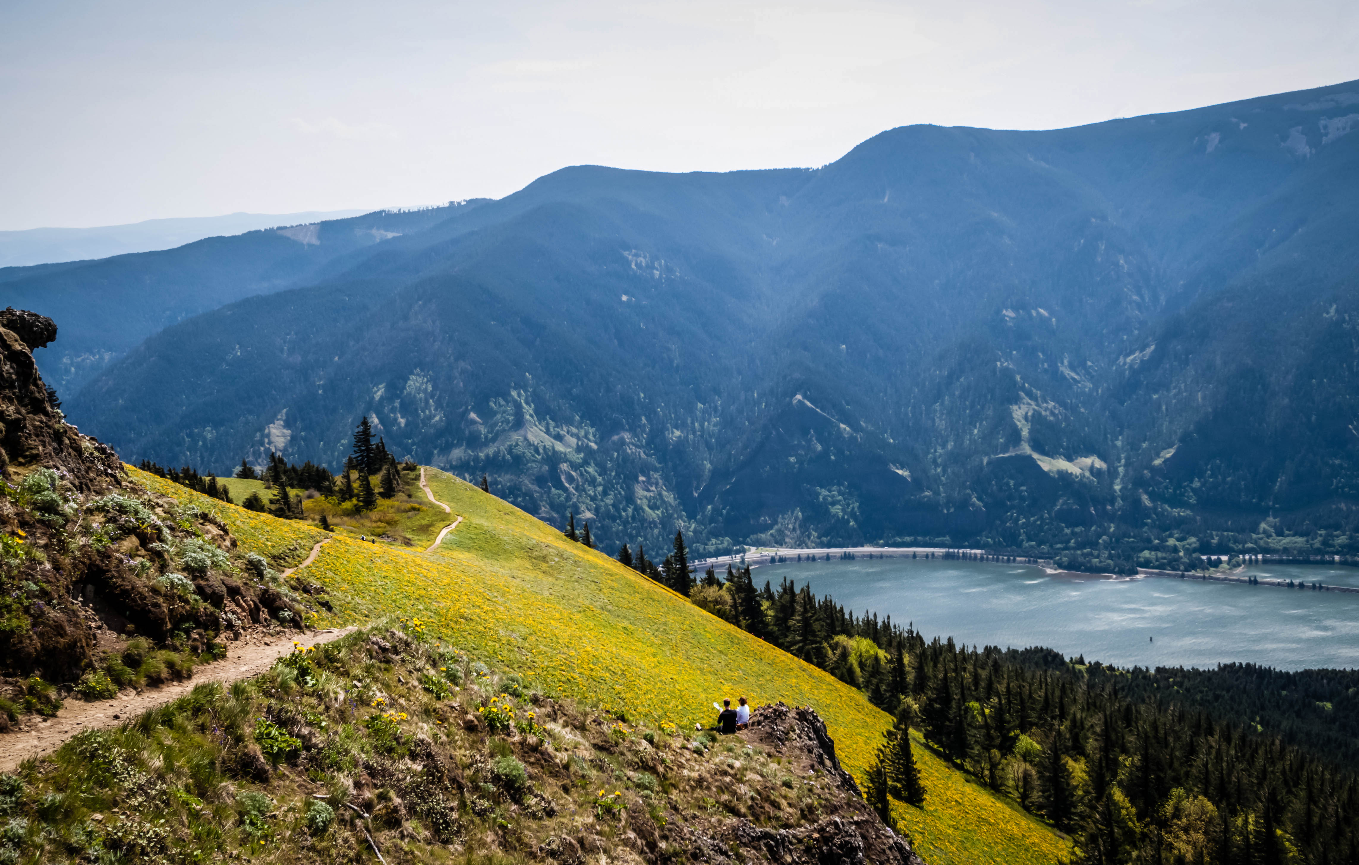 Dog Mountain via Dog Mountain Trail