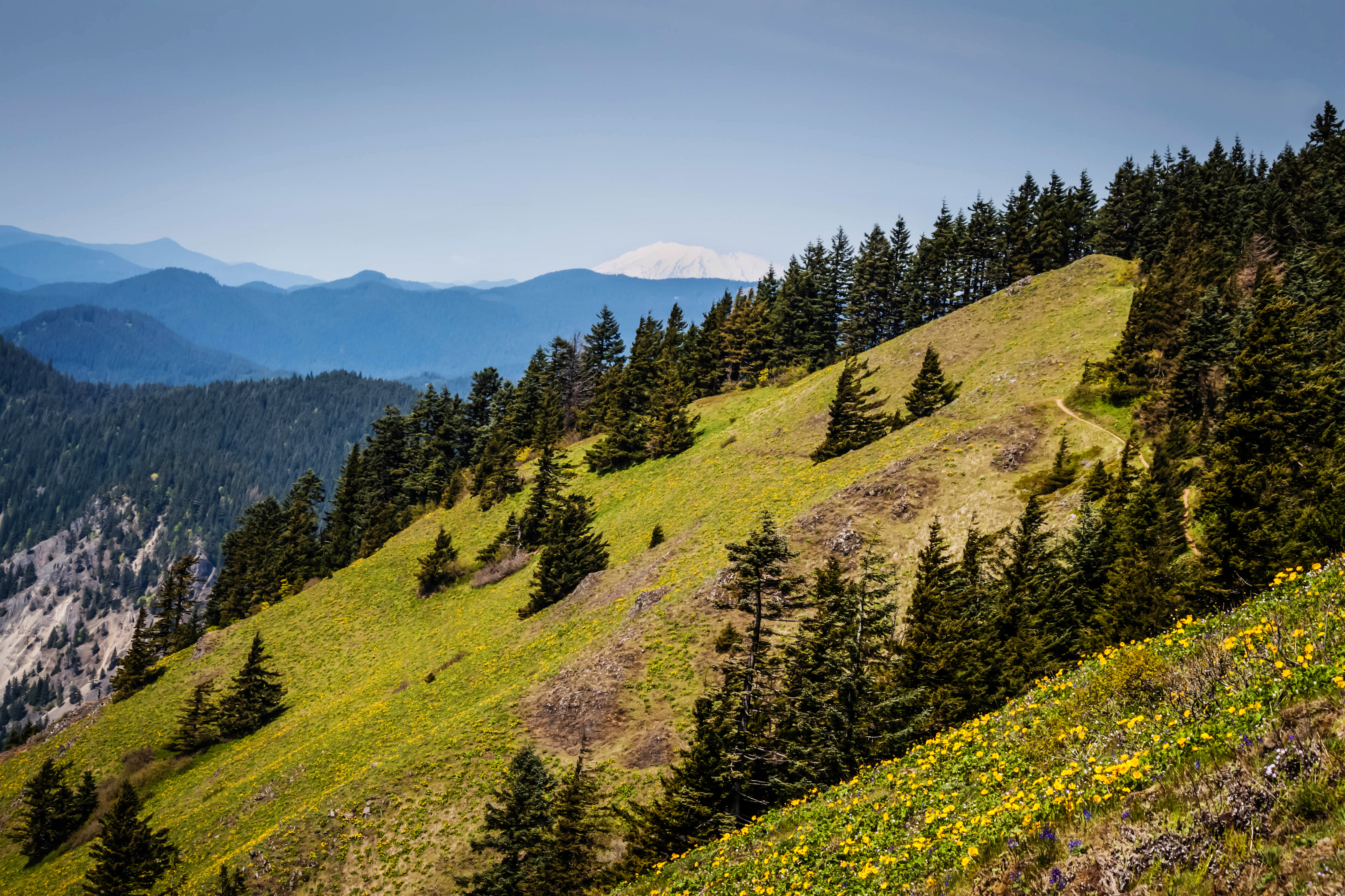 Dog Mountain via Dog Mountain Trail