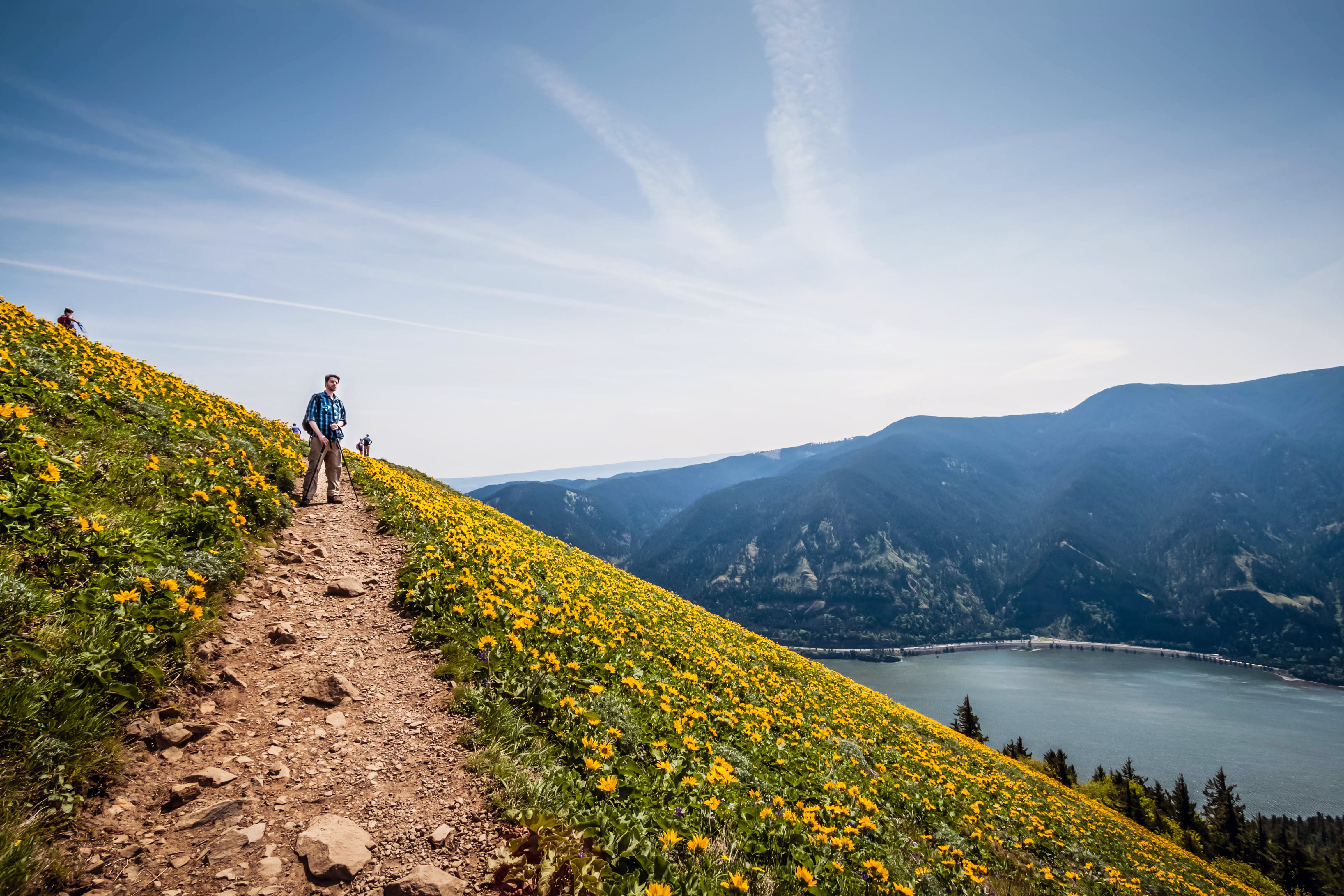 Dog Mountain via Dog Mountain Trail