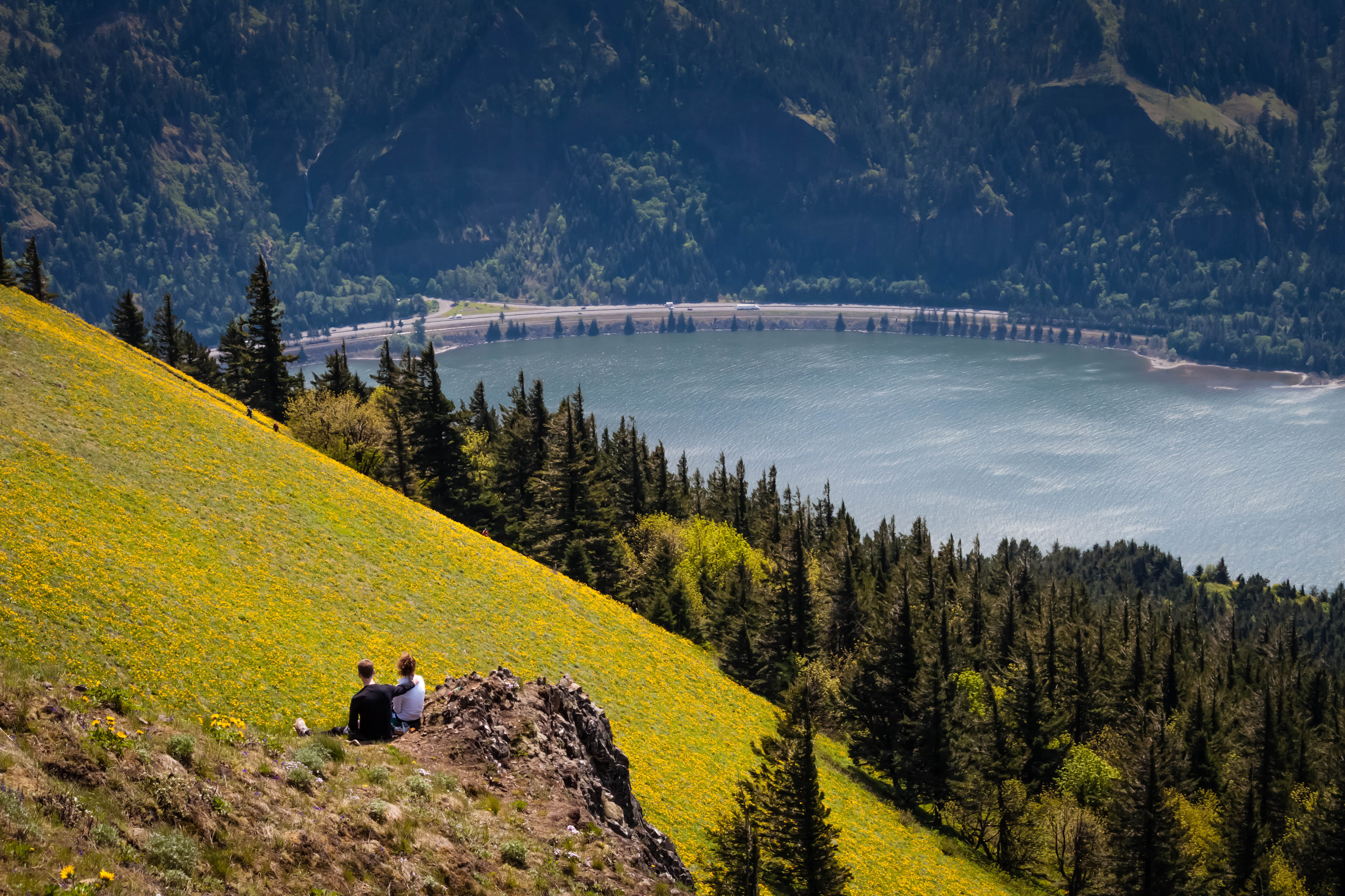Dog Mountain via Dog Mountain Trail