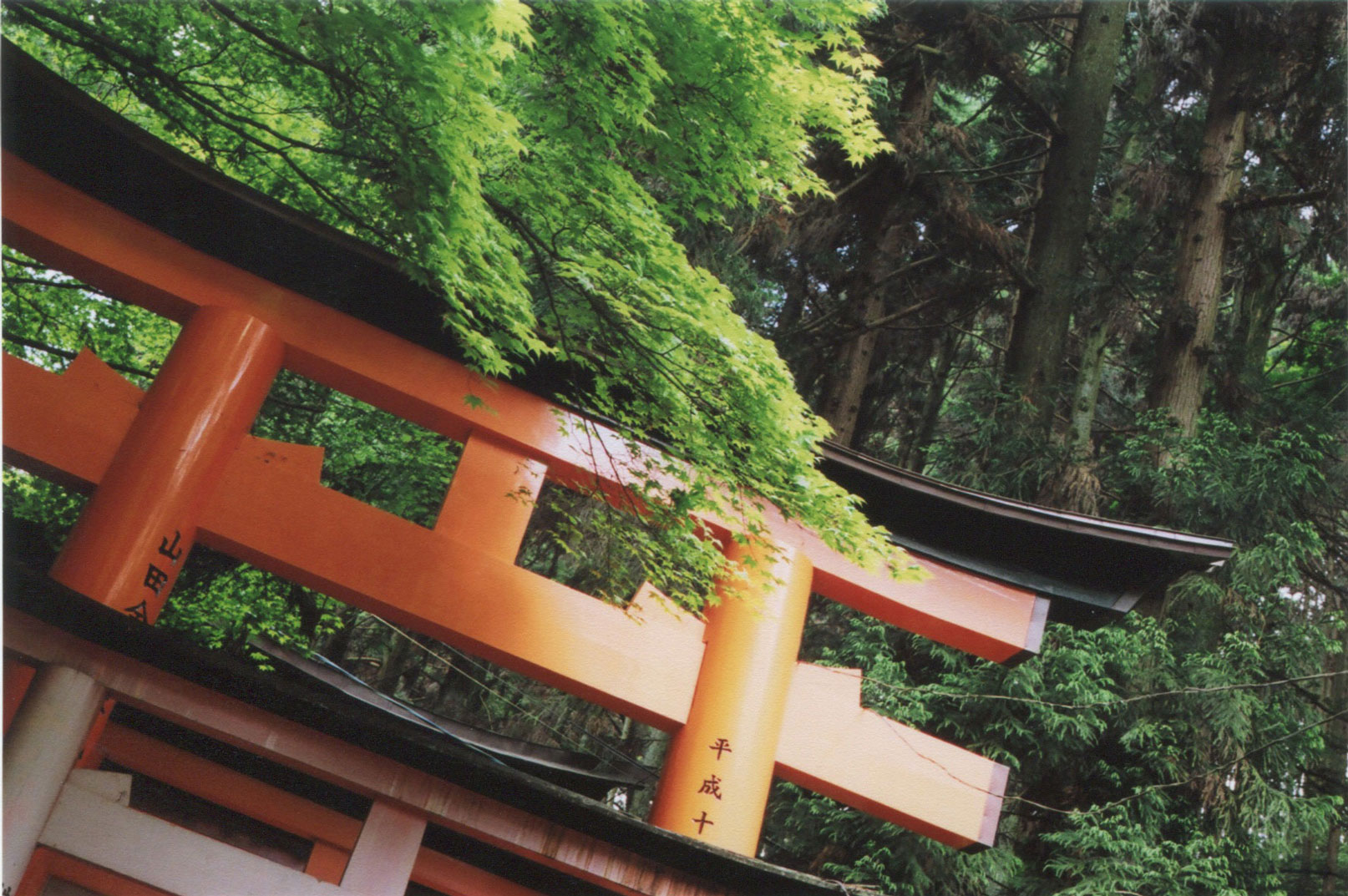 Fushimi-Inari Shrine