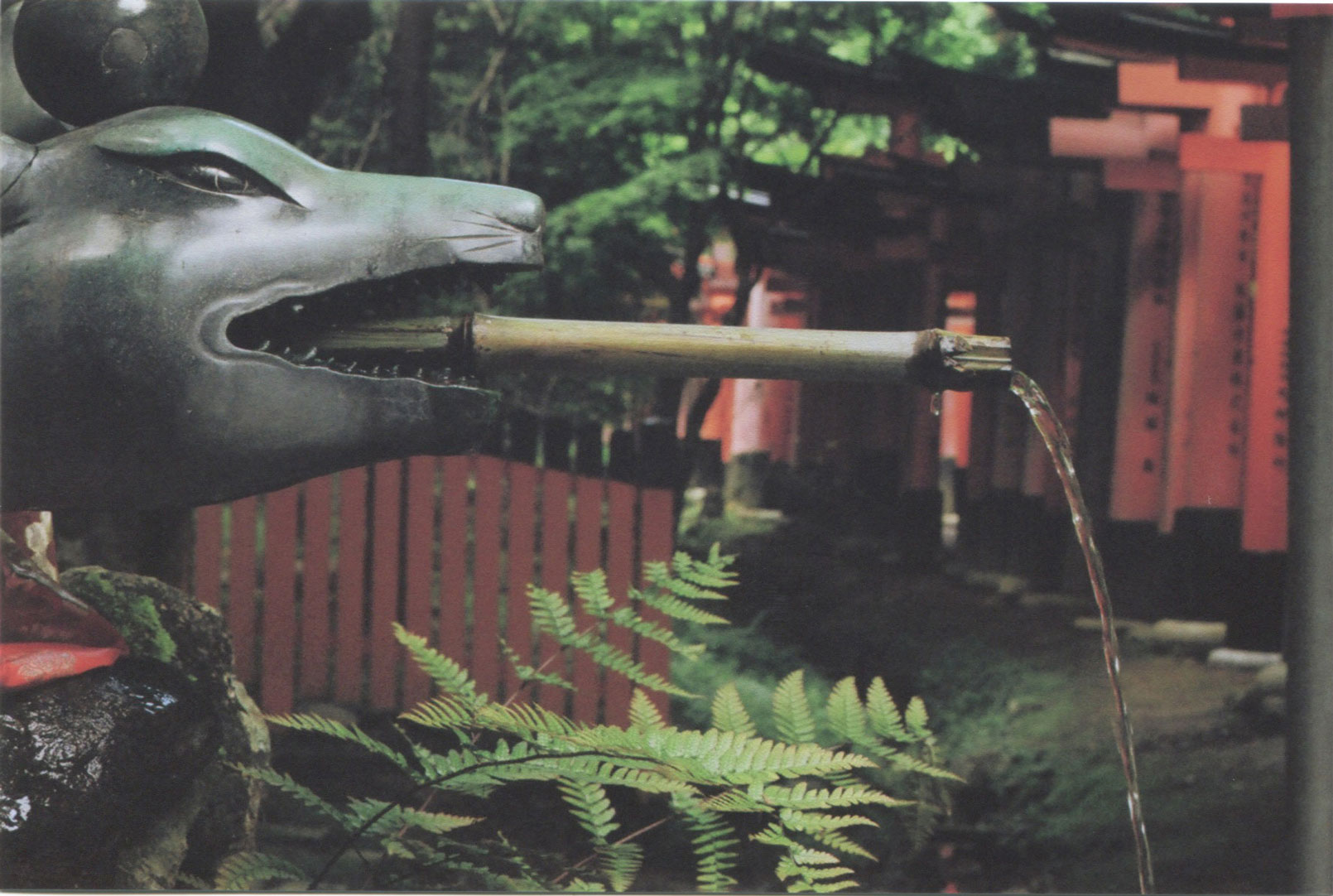 Fushimi-Inari Shrine