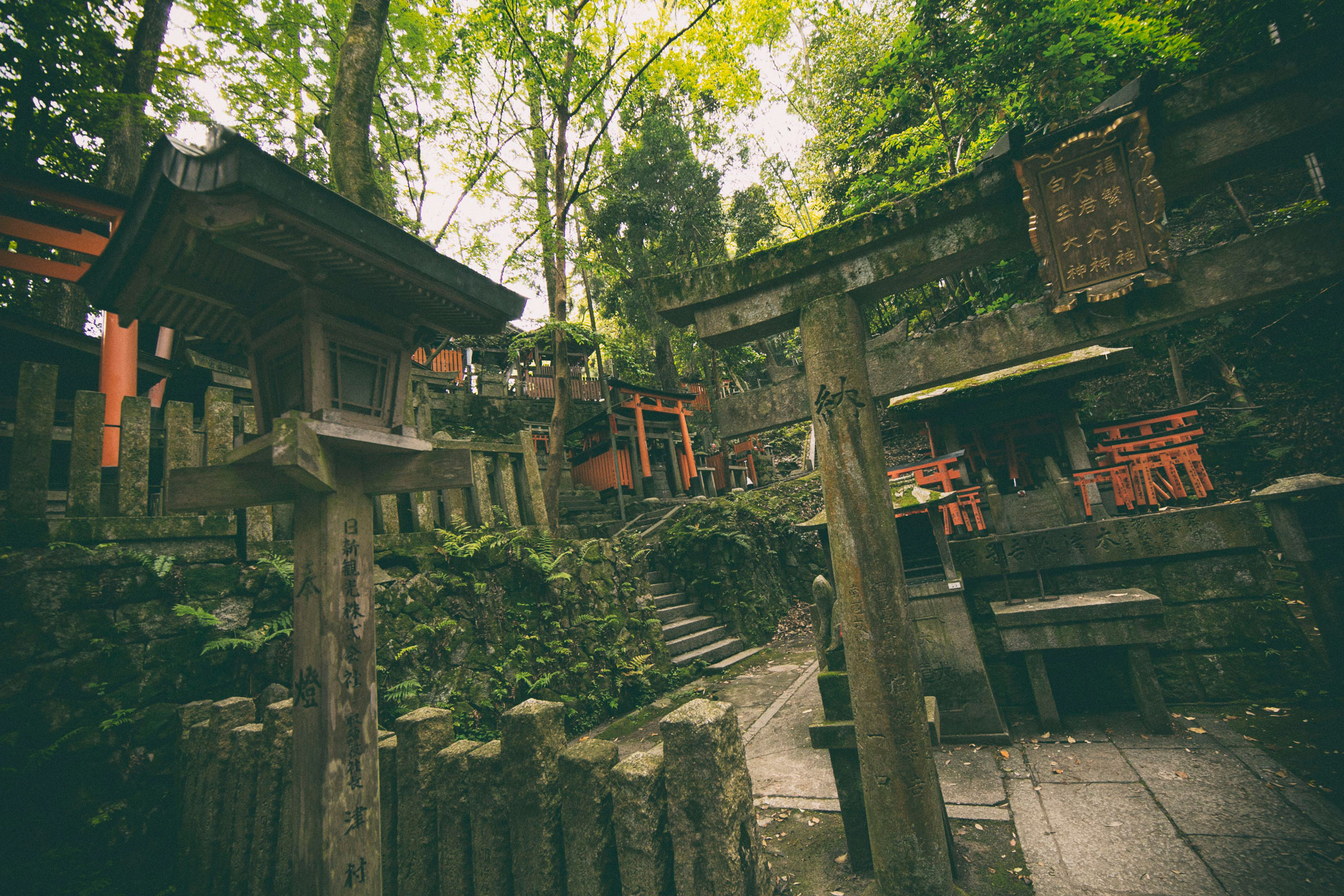 Fushimi-Inari Shrine