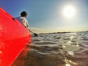 Kayak to Herring Island