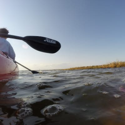 Kayak to Herring Island