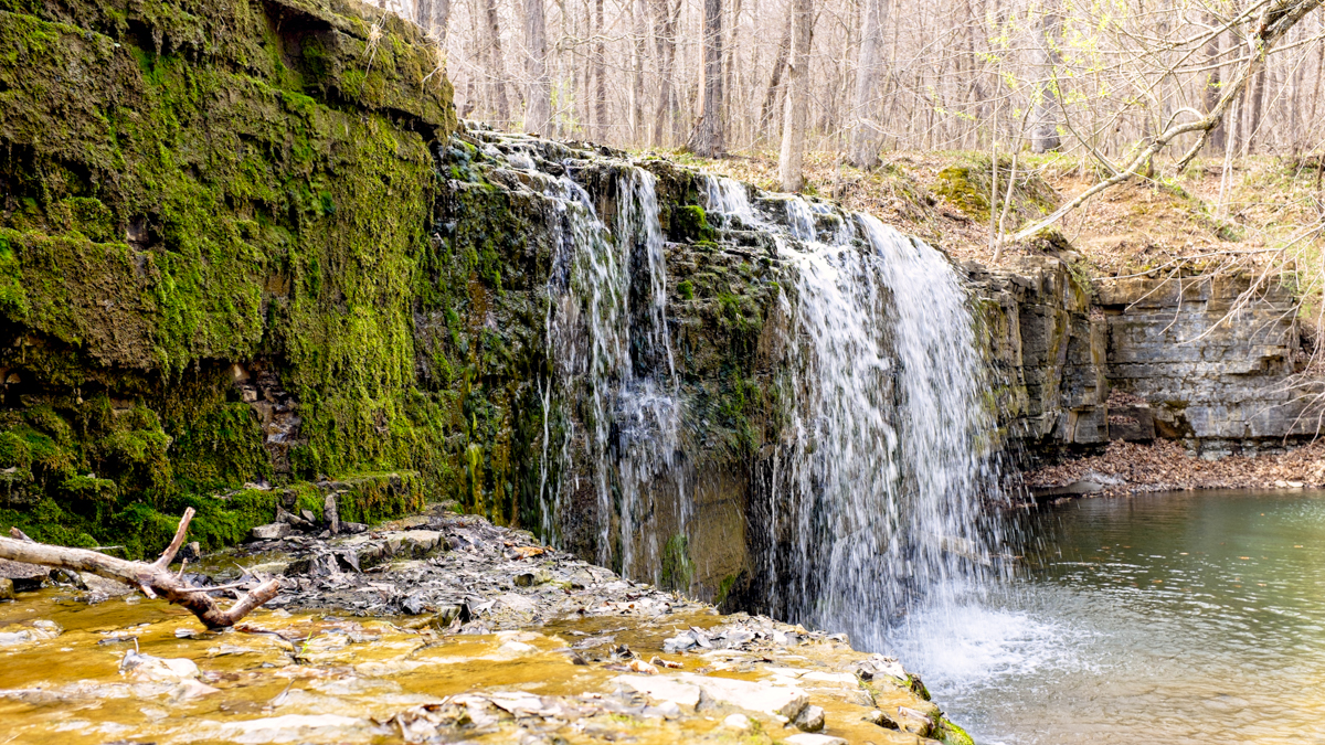 Escape to Enchantment: Unveiling the Magic of Nerstrand Big Woods State Park