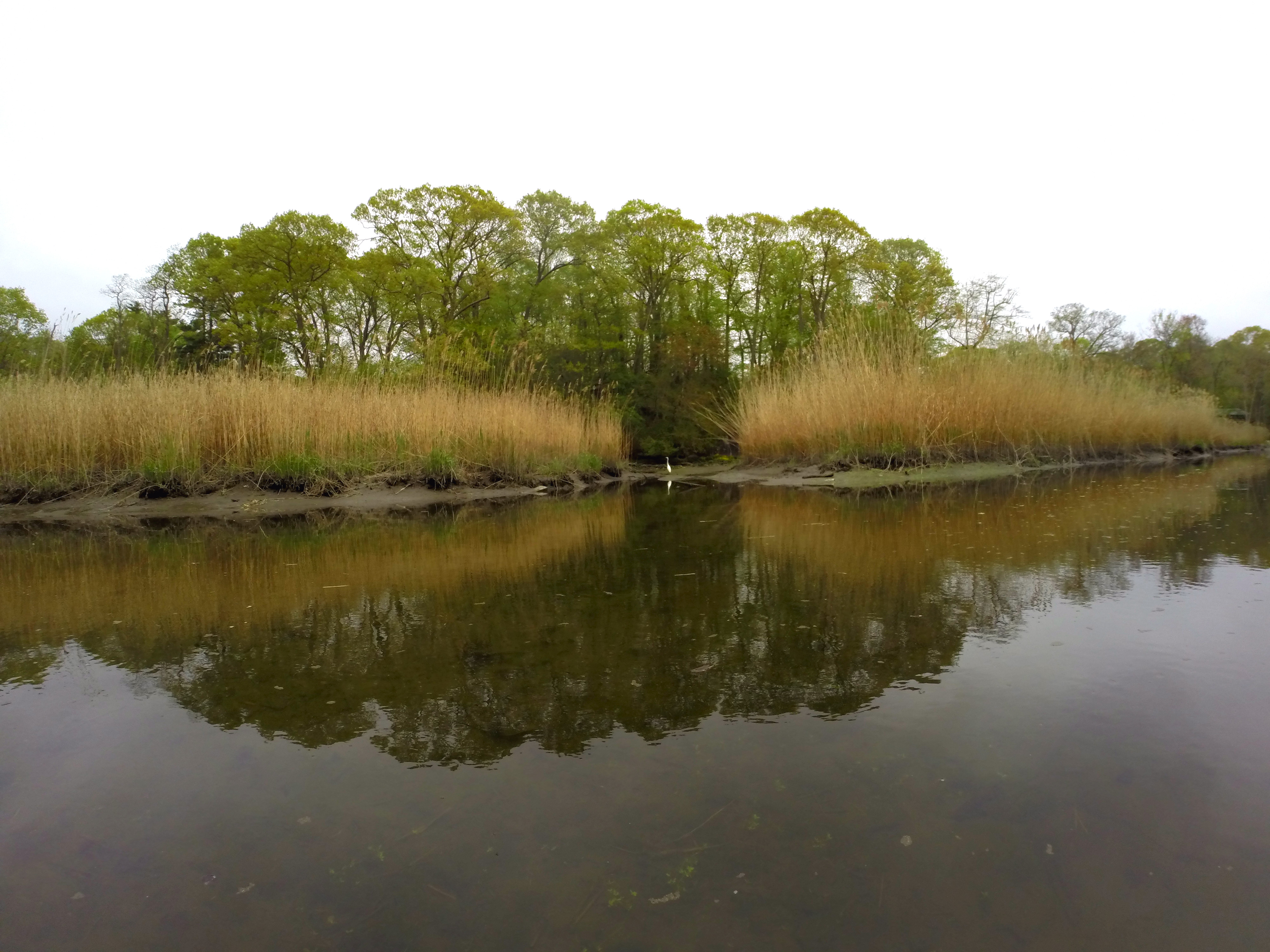 Kayaking the Nissequogue River