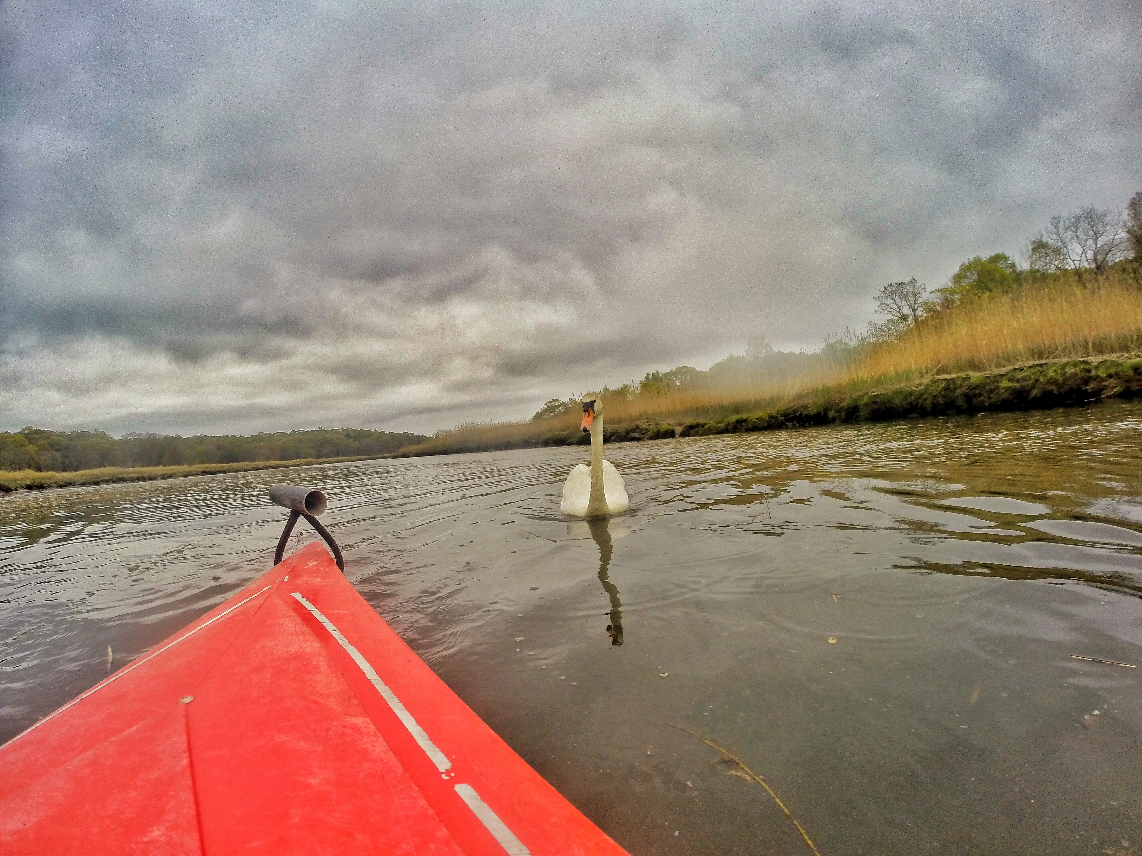 Kayaking the Nissequogue River