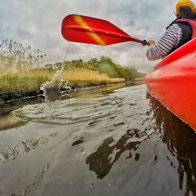 Kayaking the Nissequogue River