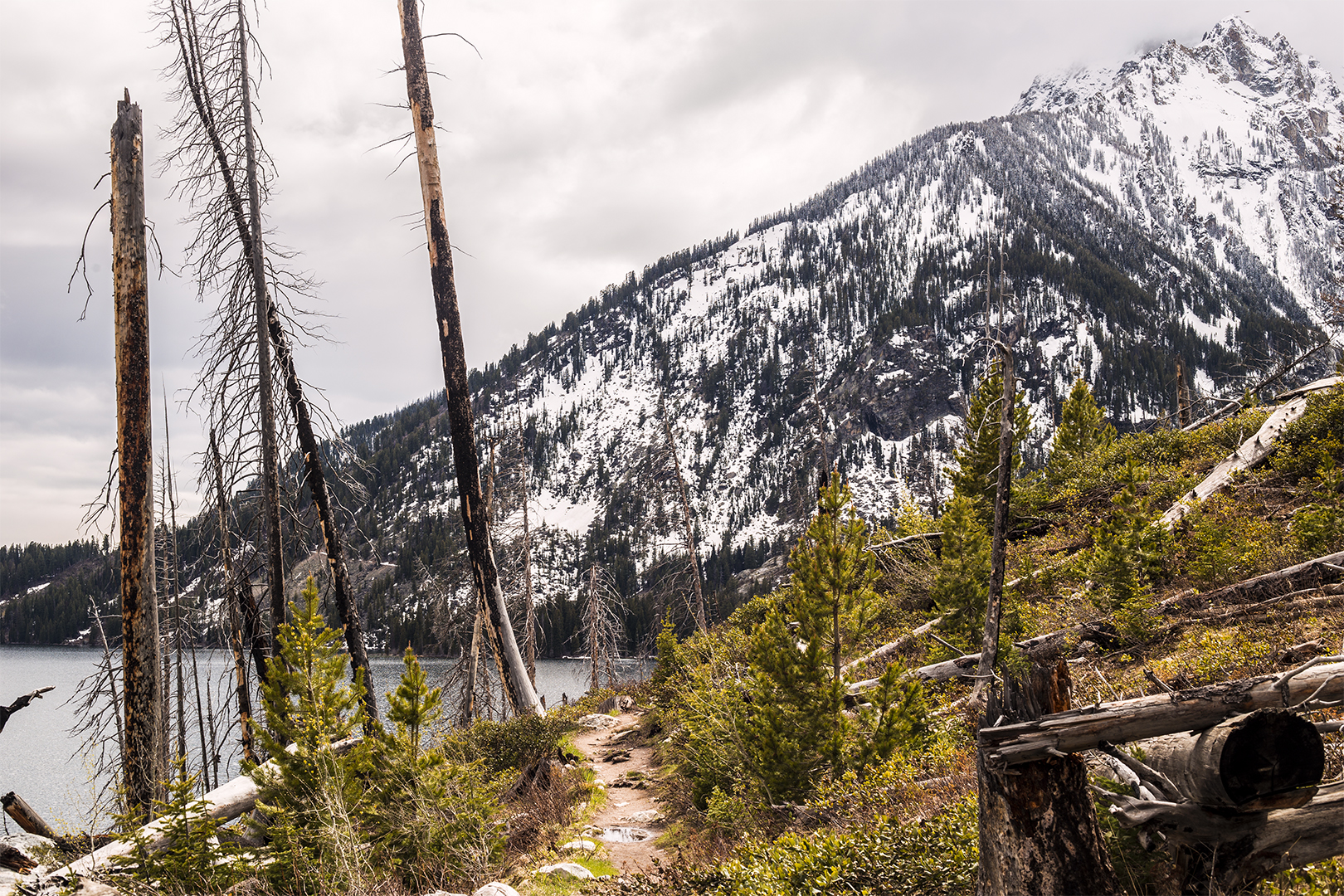 Hidden Falls & Jenny Lake Loop