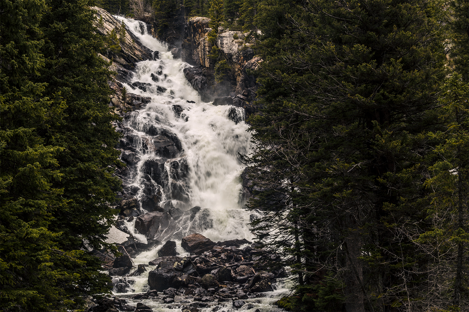 Hidden Falls & Jenny Lake Loop