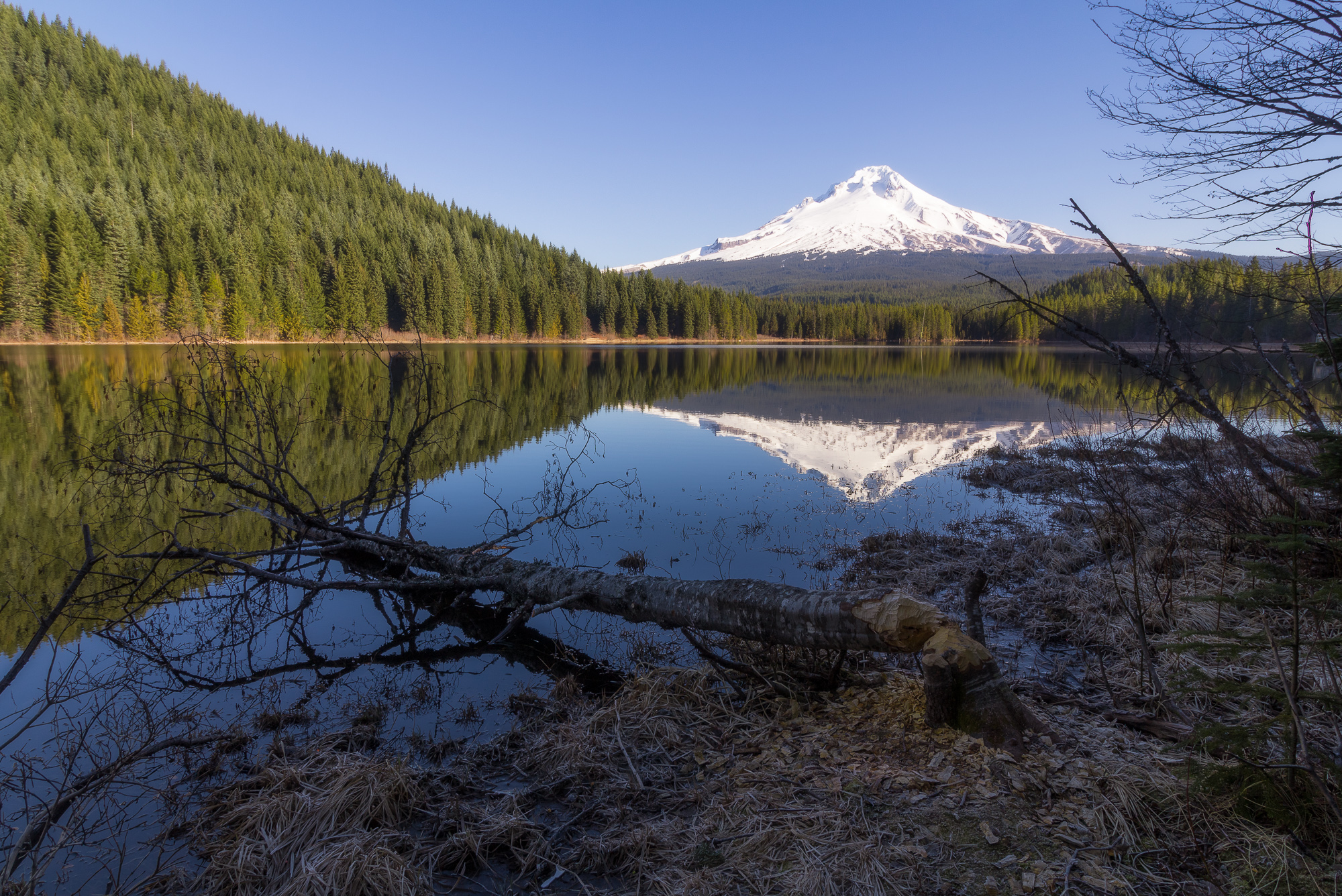 Camp at Trillium Lake