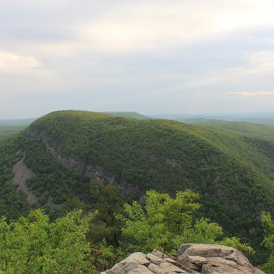 Hike Mount Tammany's Red Dot and Blue Dot Loop