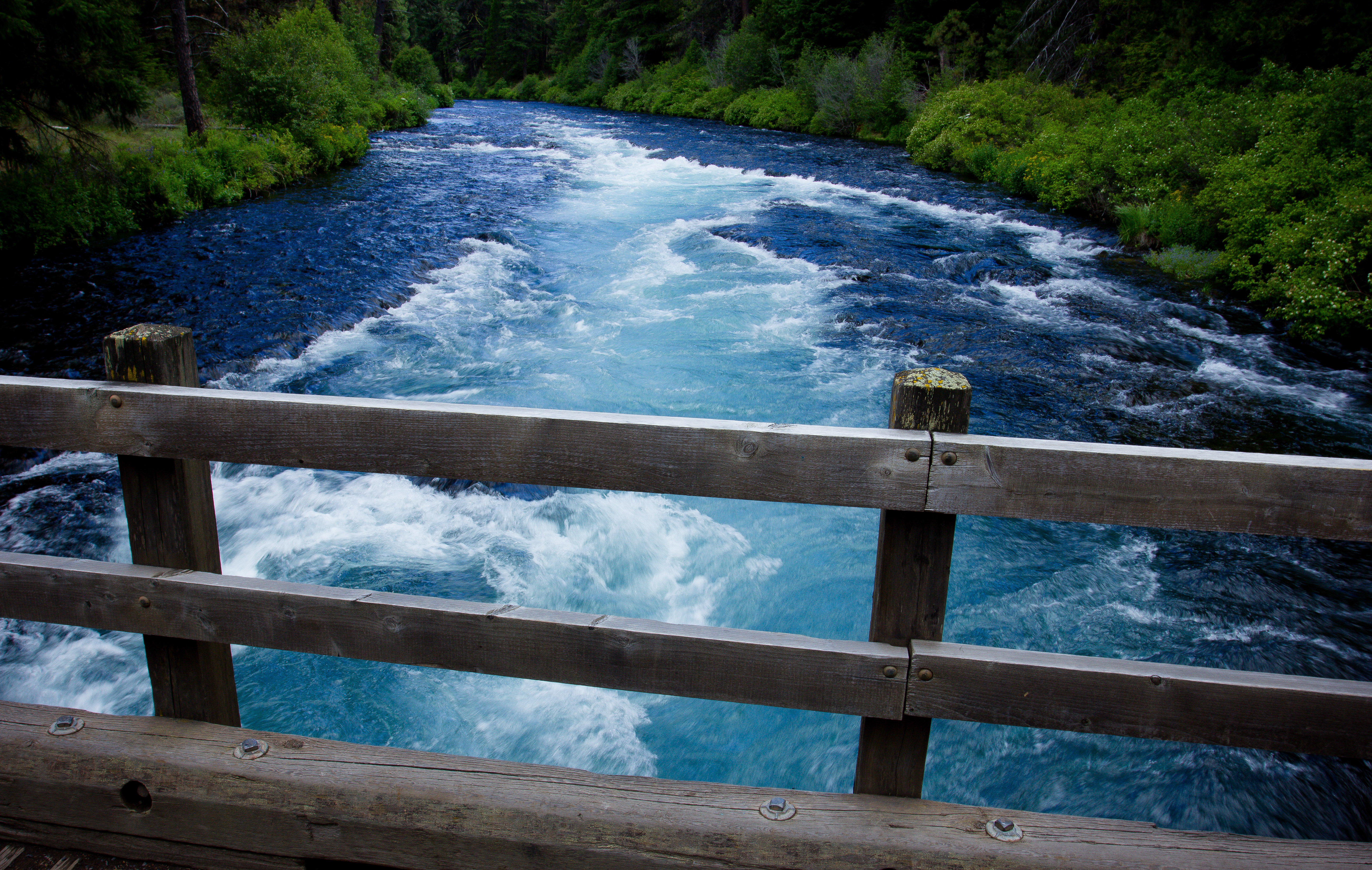 Fly Fishing the Metolius