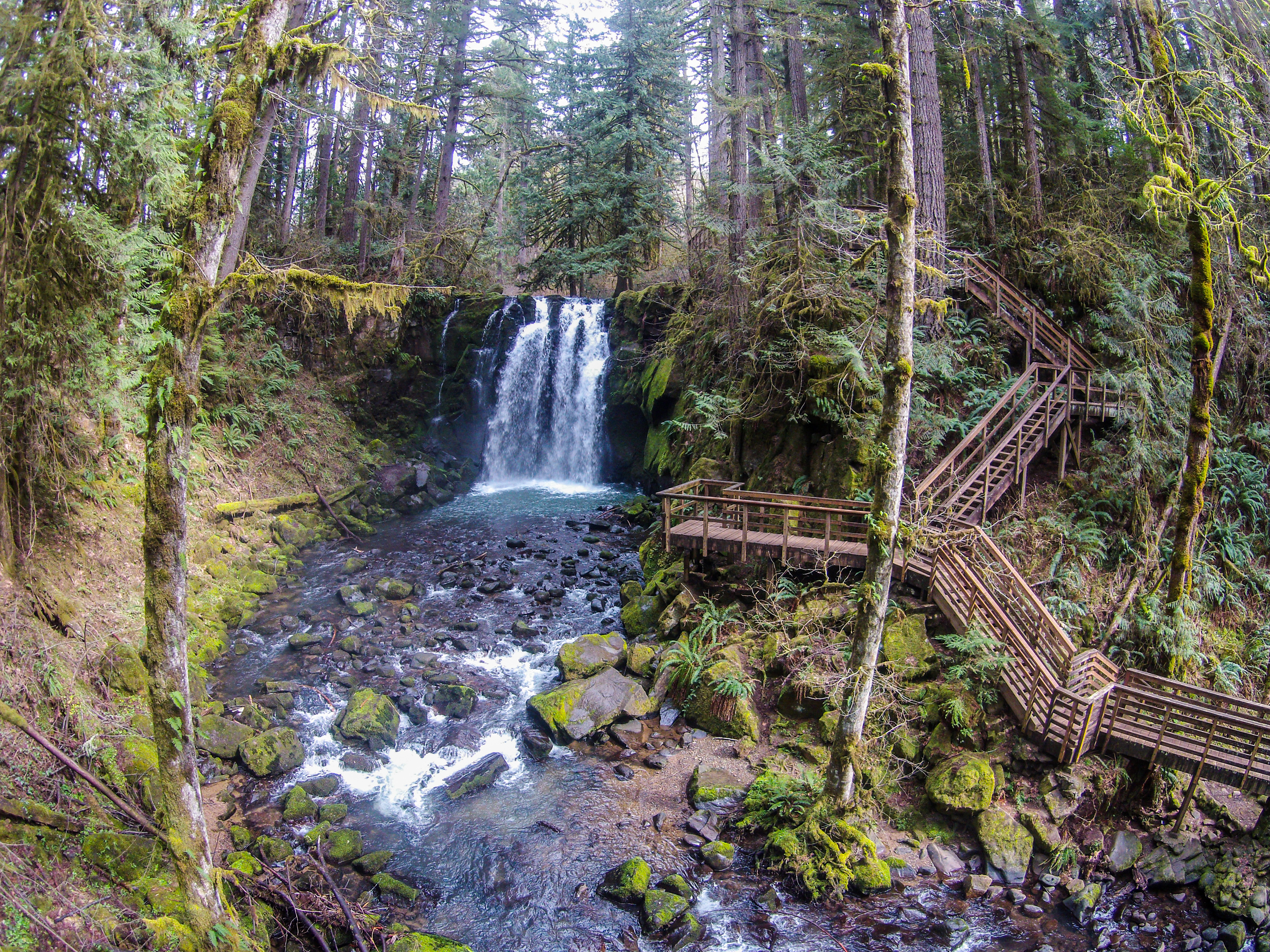 Hike McDowell Creek County Park, Lebanon, Oregon