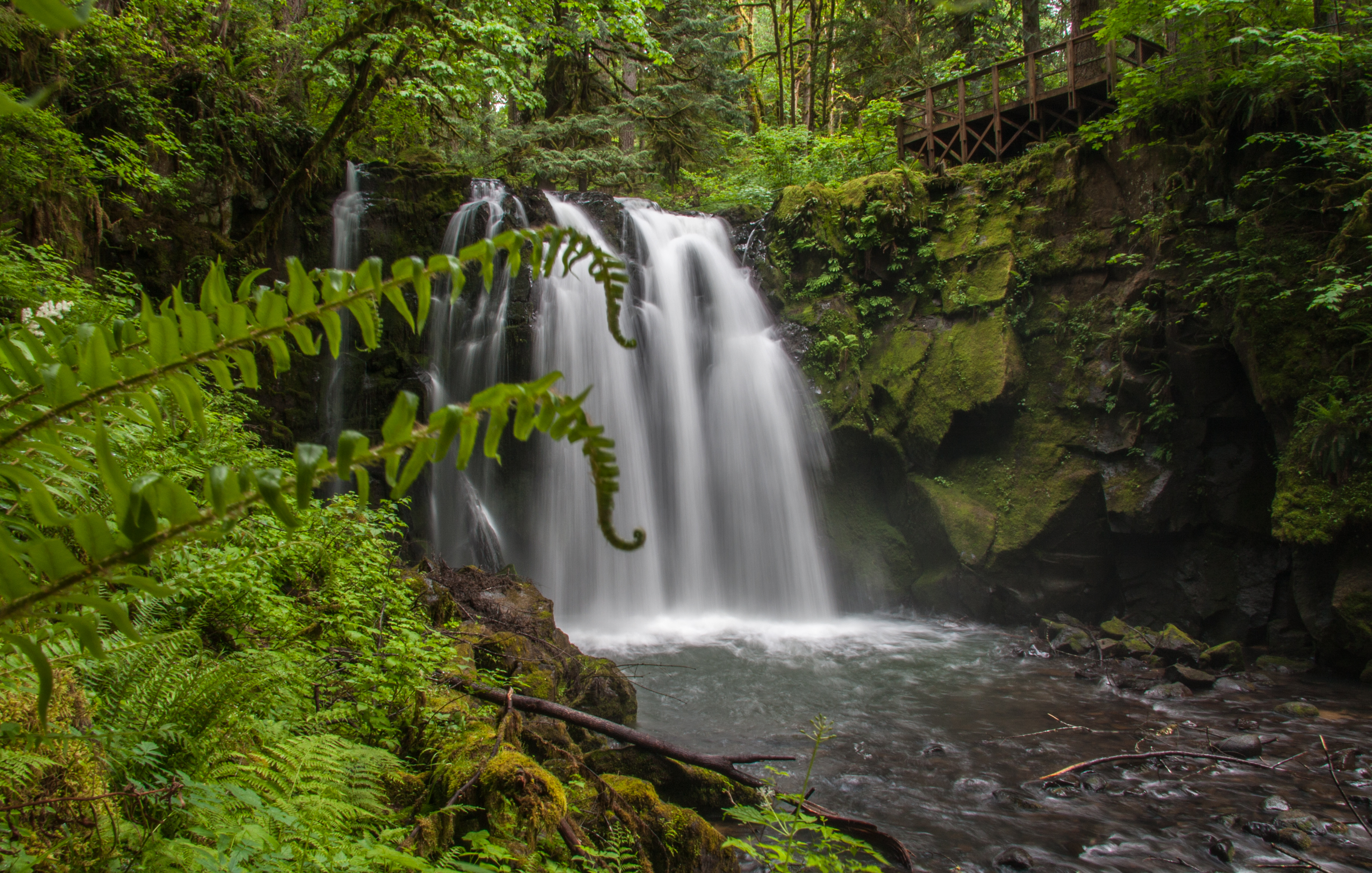 McDowell Creek County Park Loop