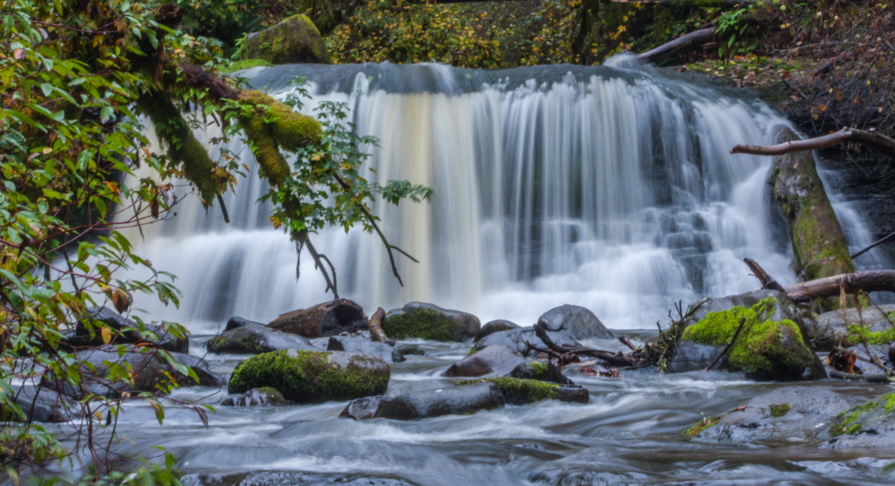 McDowell Creek County Park Loop