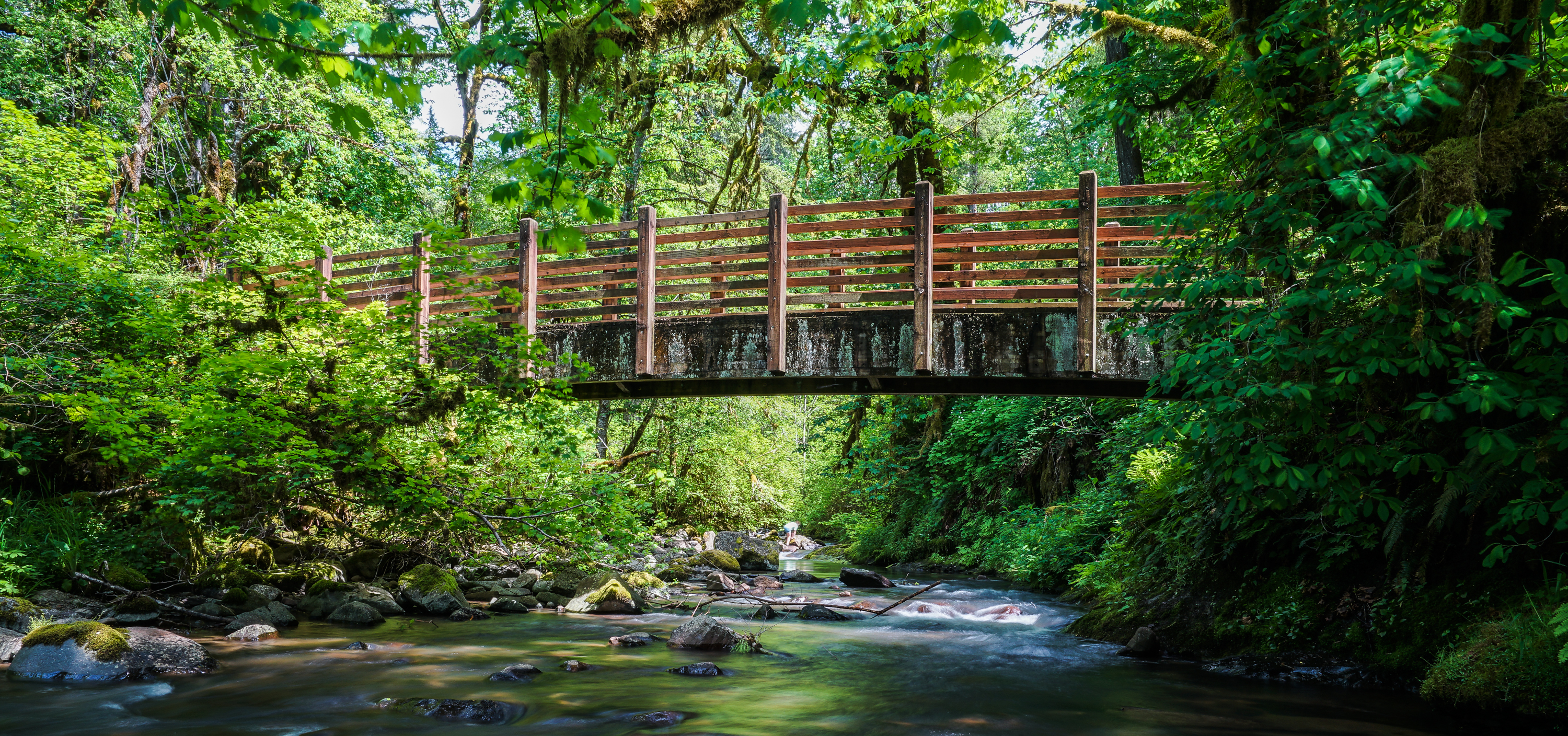 McDowell Creek County Park Loop