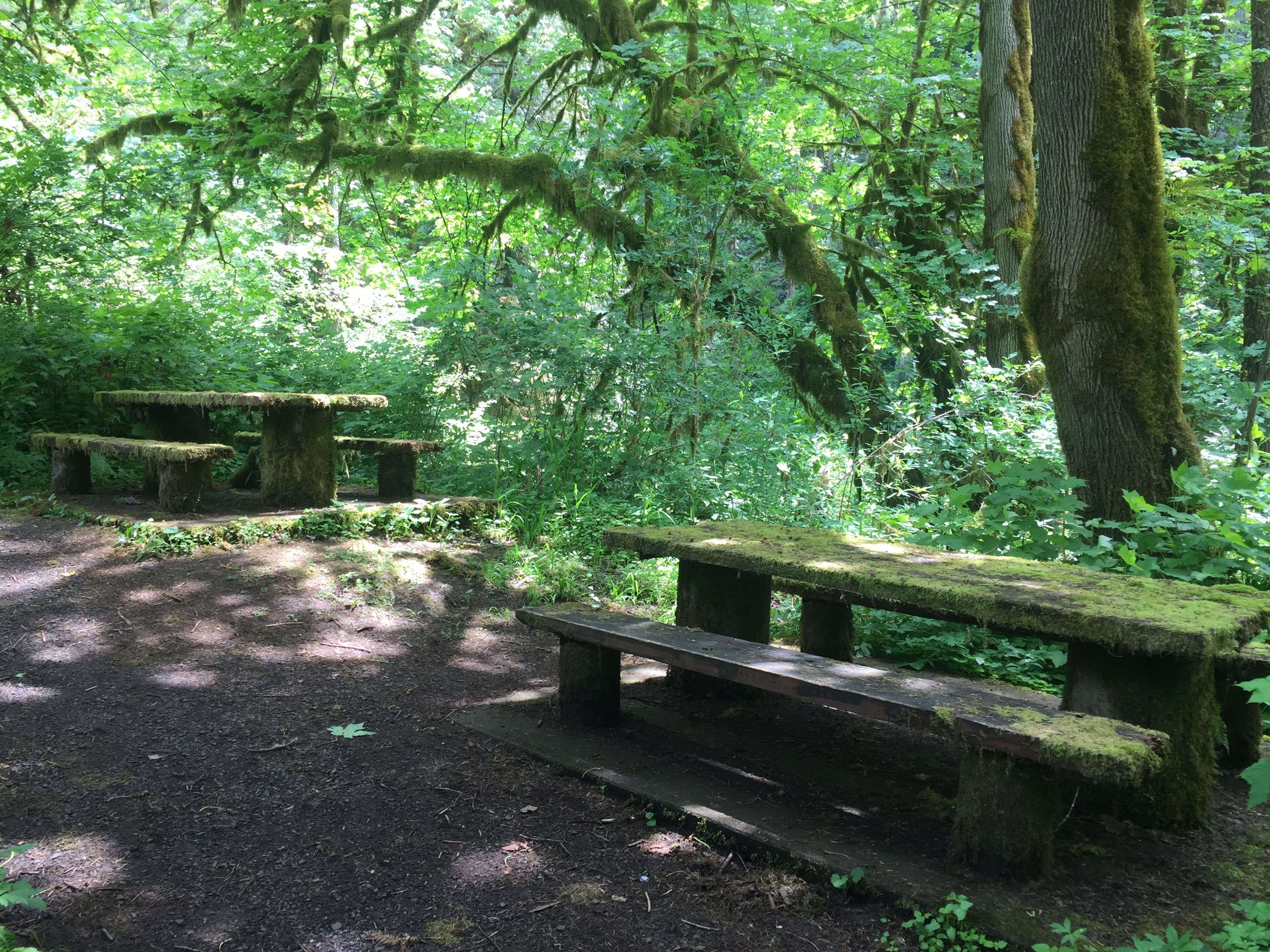 McDowell Creek County Park Loop