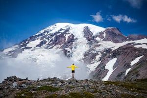 6 Reasons Why You Should Explore Mt. Rainier National Park