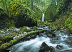 Adventure Roundup: Lush Forest, Waterfalls, and Rock Climbing