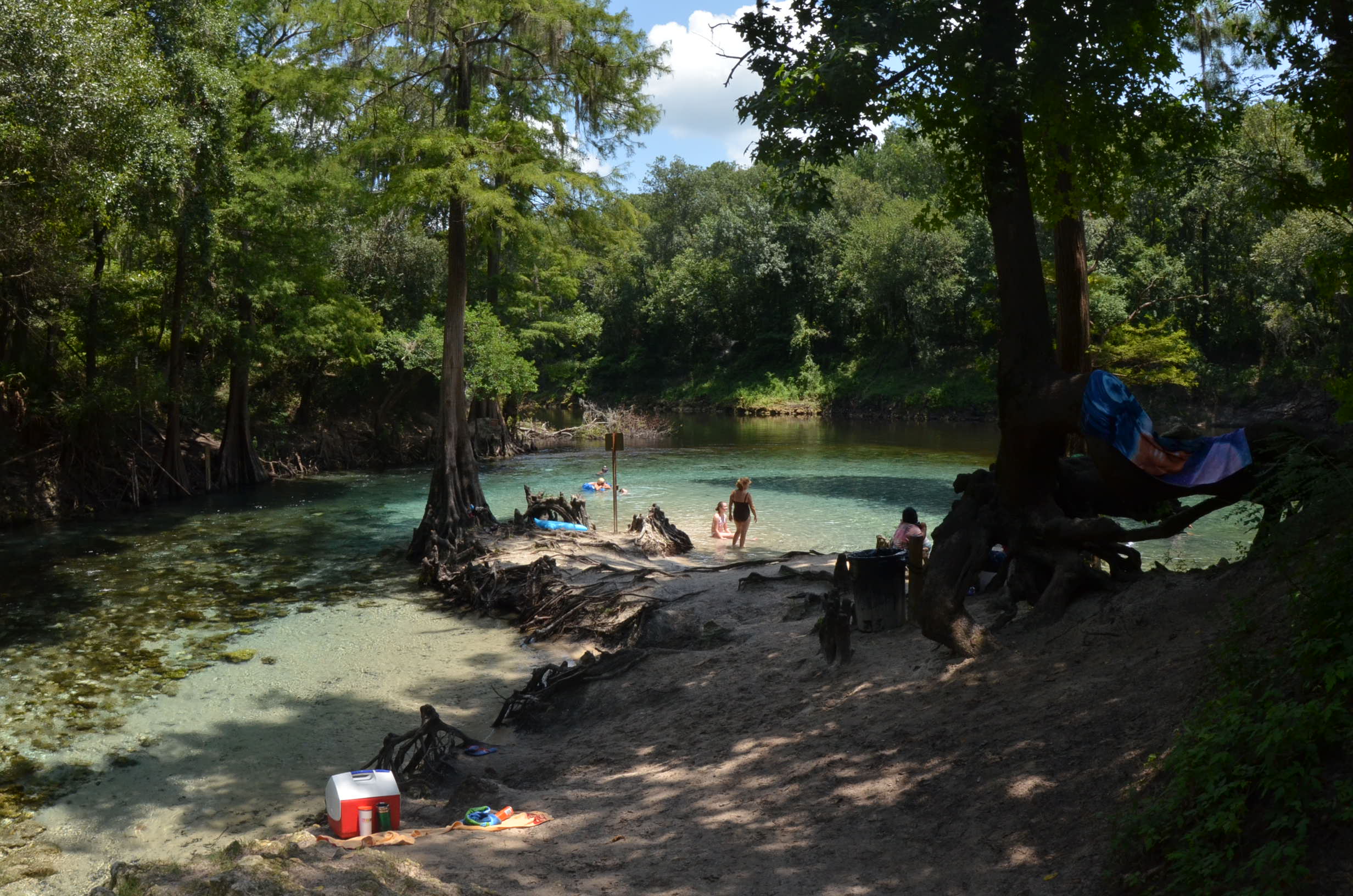 Madison Blue Springs