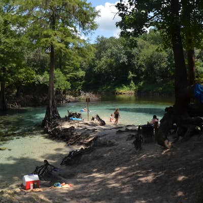 Swim and Cliff Jump at Madison Blue Springs