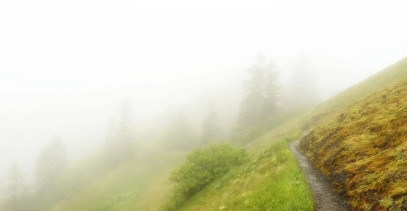 Saddle Mountain Trail