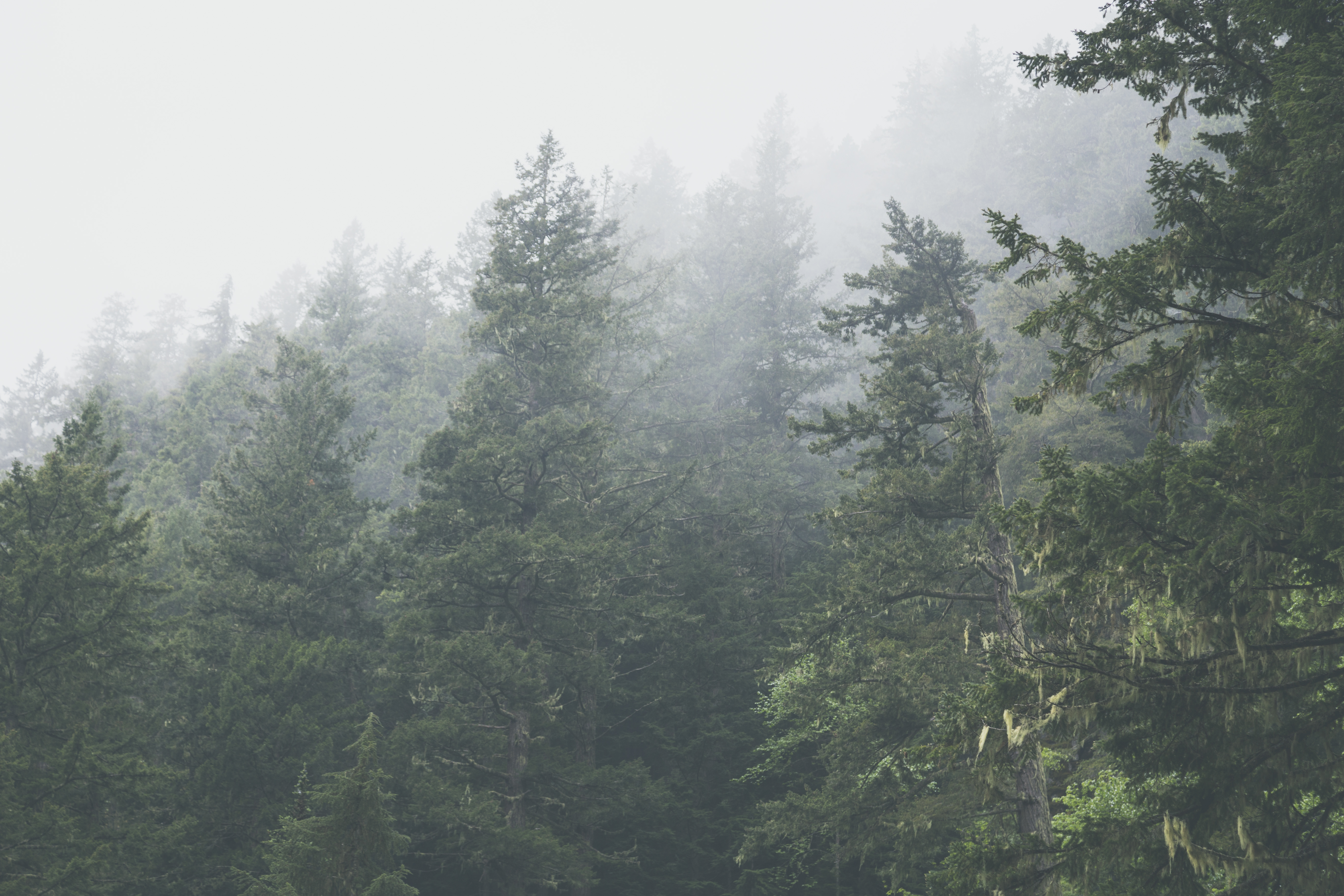 Hike to Lindeman & Greendrop Lakes