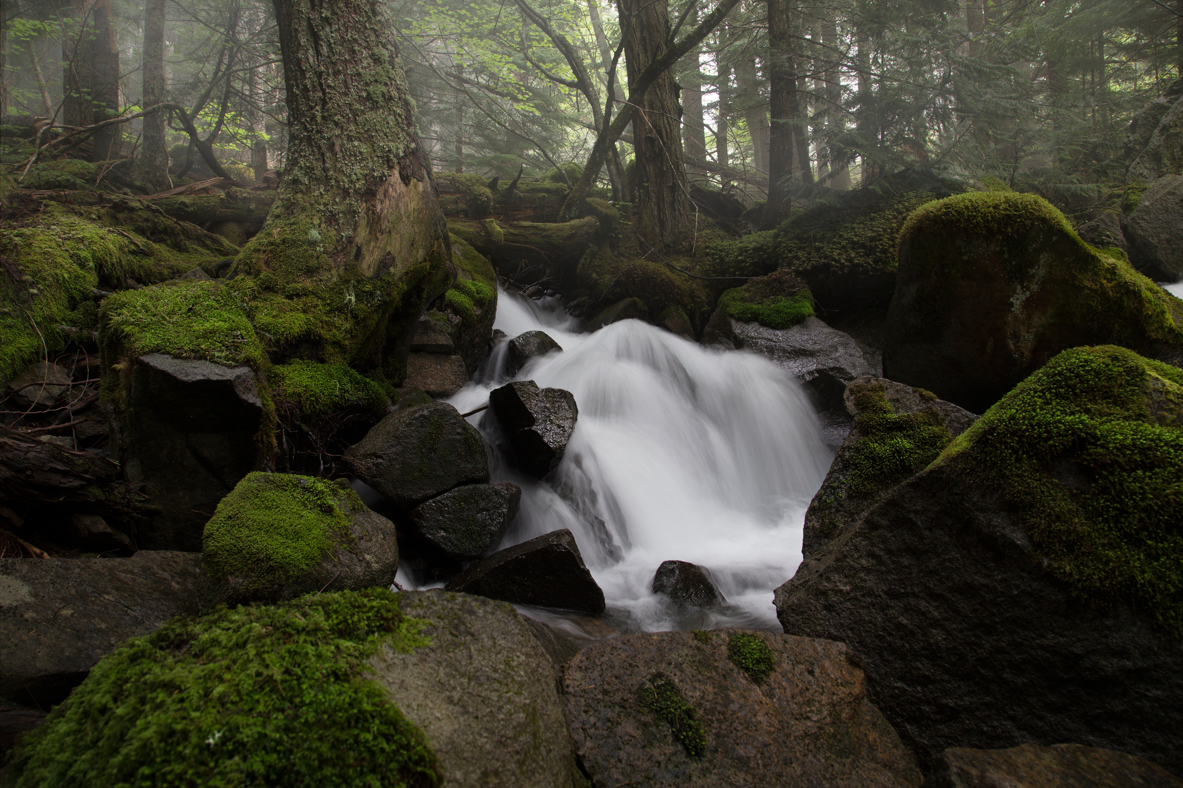 Hike to Lindeman & Greendrop Lakes