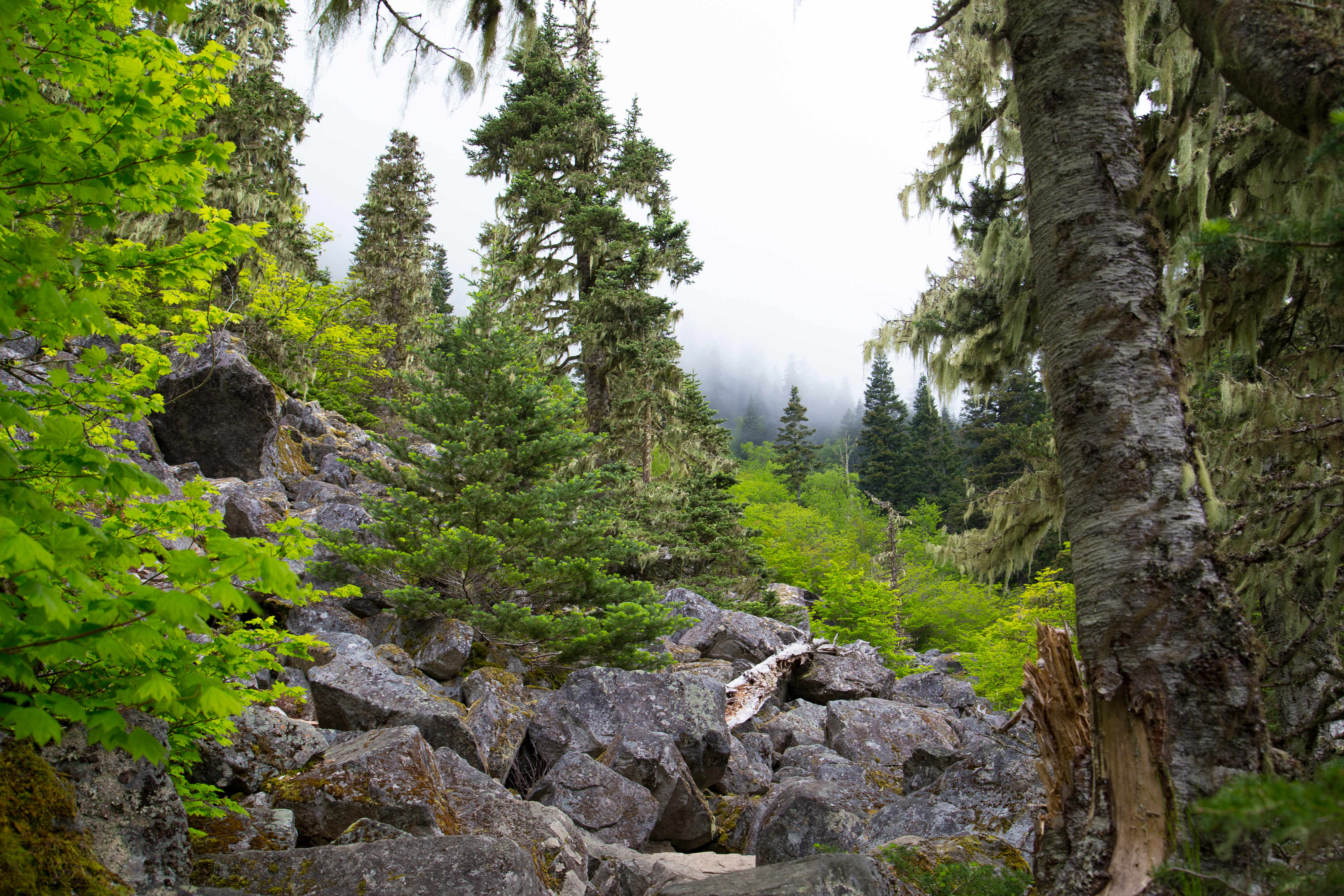 Hike to Lindeman & Greendrop Lakes