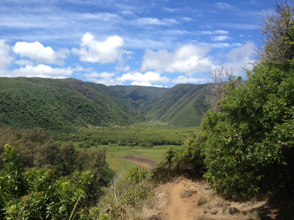 Awini Trail along the Kohala Coast