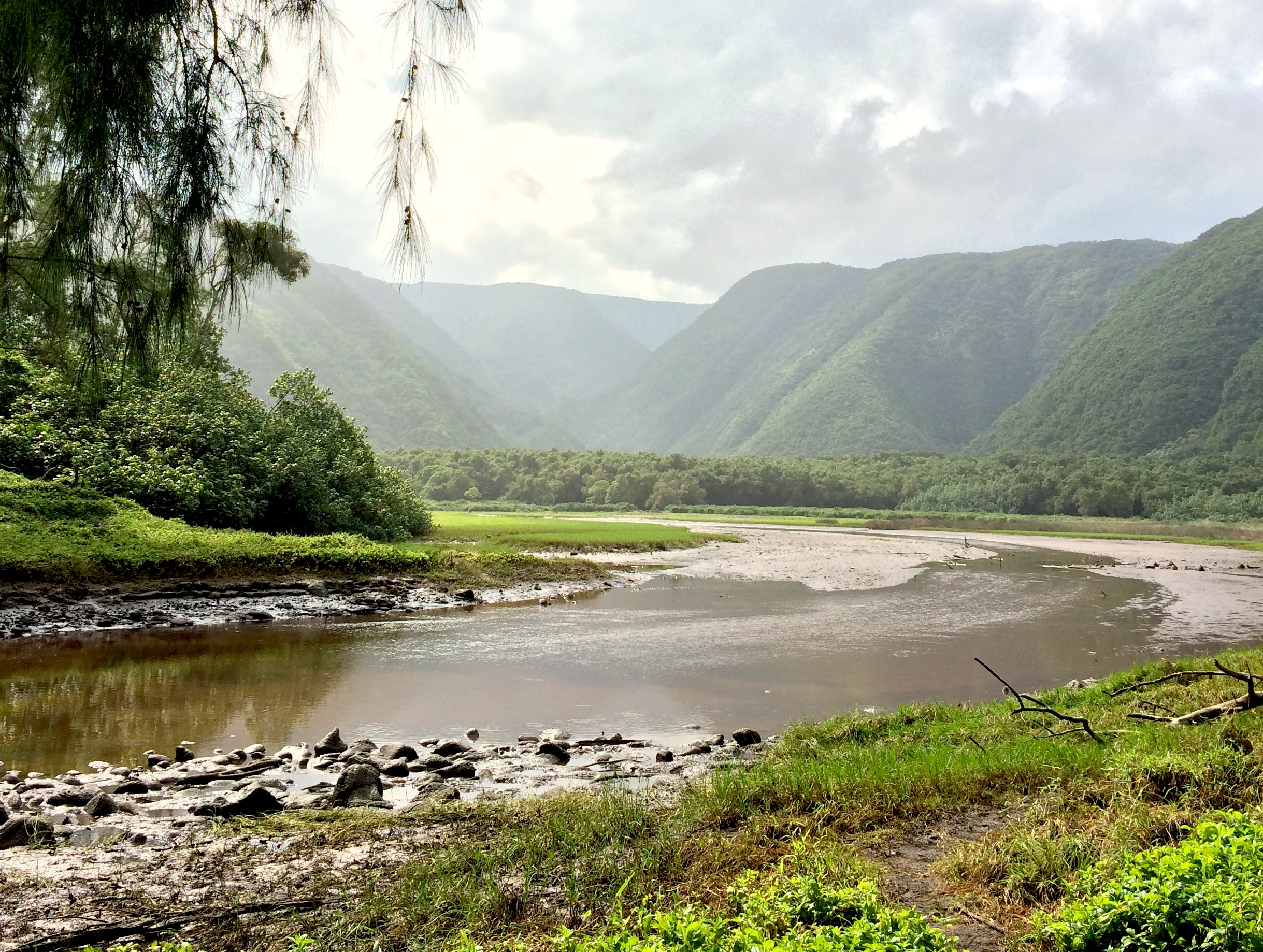 Awini Trail along the Kohala Coast